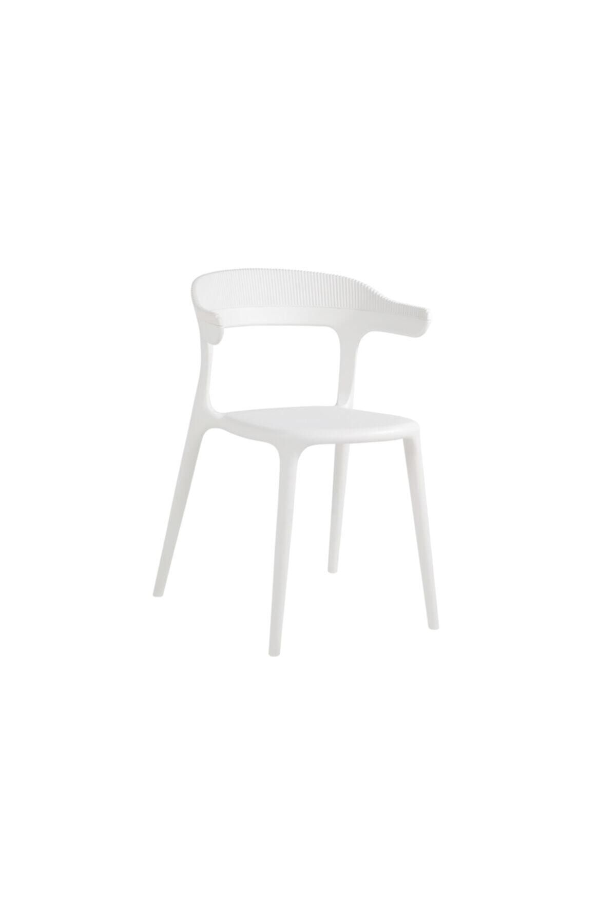 Papatya Luna Stripe Koltuk Beyaz Mutfak Sandalyesi Kolçaklı