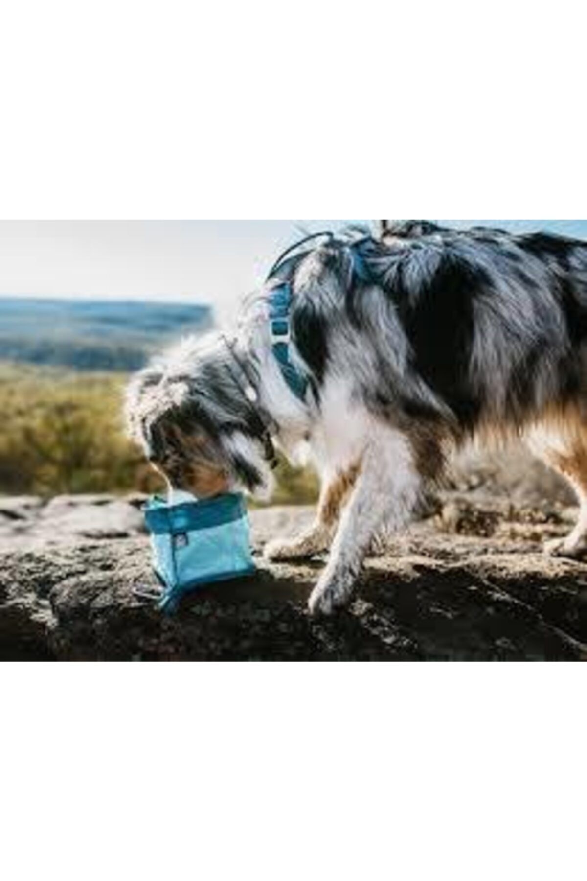 Pet Safe Kurgo Zippy Katlanır Su/yemek Kabı Mavi K01549