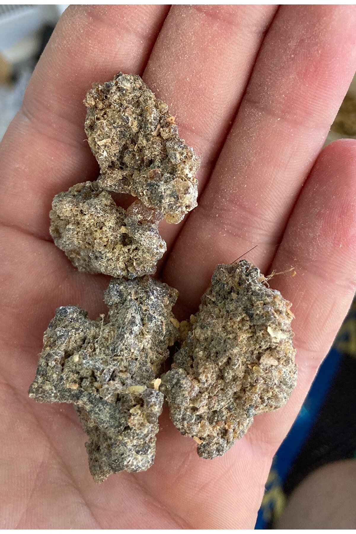 shop Taş Buhur Bosweilla Olibanum 50 gr Doğal Bahar Luban