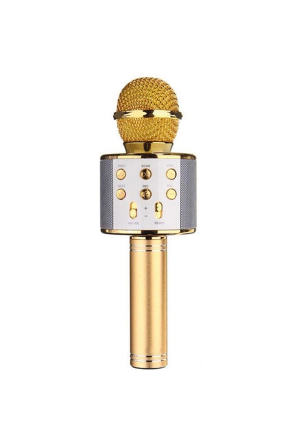 Powermaster Bluetooth-sd-aux-fm Kablosuz Karaoke Mikrofon