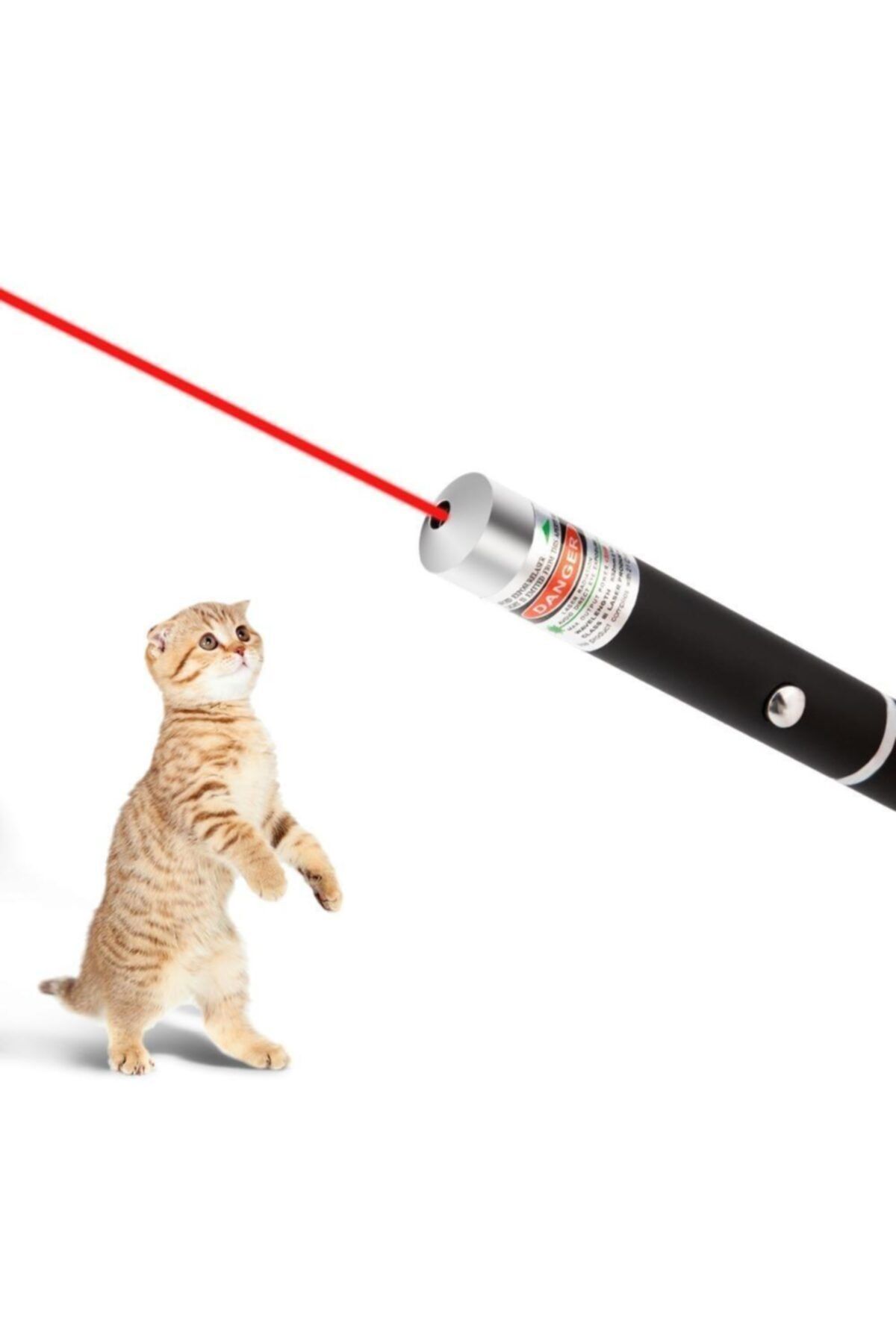SHAVER Kedi Lazer 1 Adet Oyuncak Ledli Led Pilli Işıklı Ödül Çimi Mama Alıştırma Smokin Scottish Fold Cat