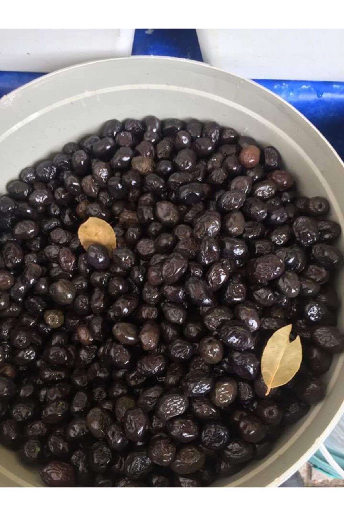 Doğal akhisar zeytincimiz Yağlı Sele Zeytin 10kg