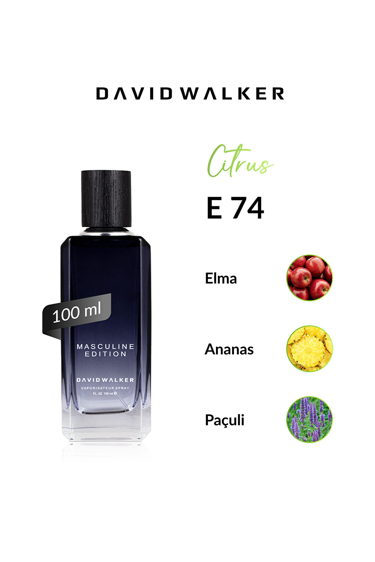 E74 Parcorus 100 ml Erkek Parfüm | Citrus-Meyve