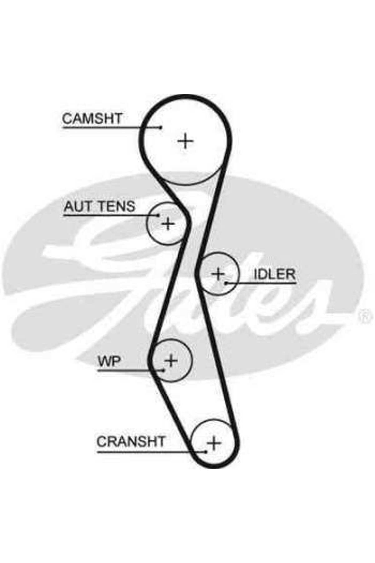 Ford Devirdaımlı Eksantrık Gergi Kiti (118x254) Peugeot 407 607 C5 C6 C8 2.2hdi 06> S Max Mondeo