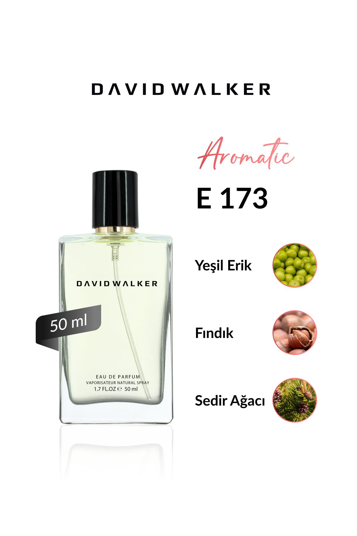 E173 Luck Man 50 ml Erkek Parfüm | Aromatic