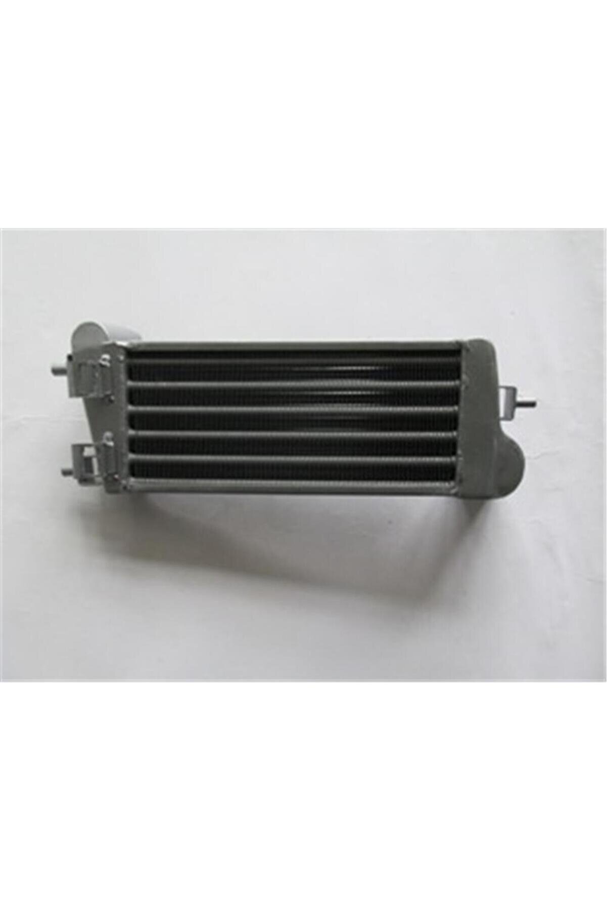 Renault Megane Scenic Arka Fren Diski (2003-2009) 2.0, 1.9, 1.6, 1.5 DCI 7701208230