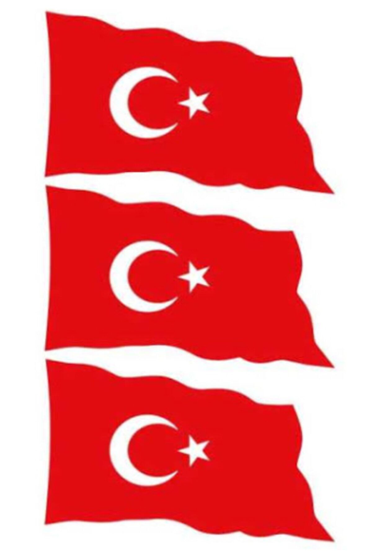 Vatan Türk Bayrağı Çıkartması Etiket Stıcker 7x5cm