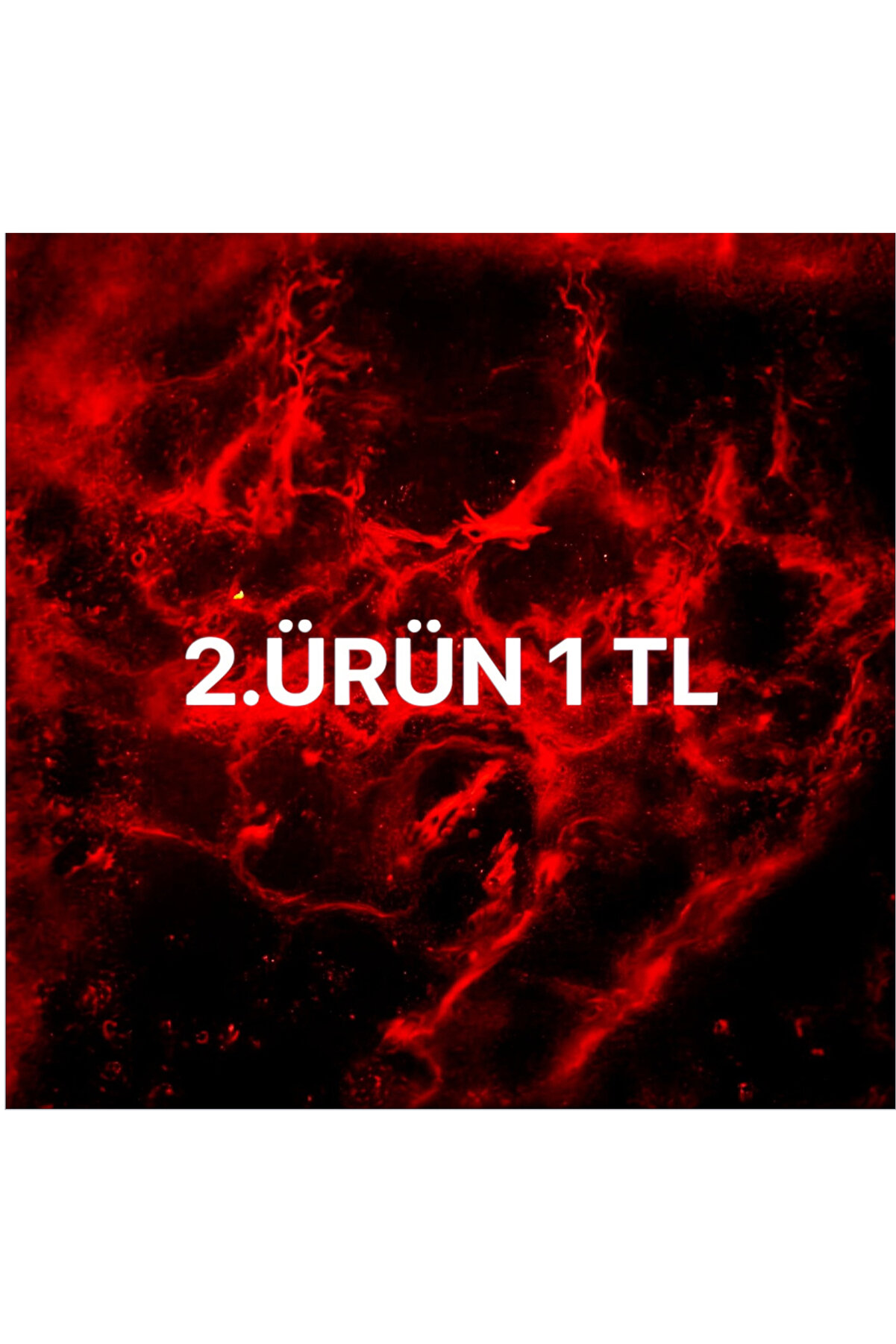 Eyfel Unısex Parfüm U19 100 ml