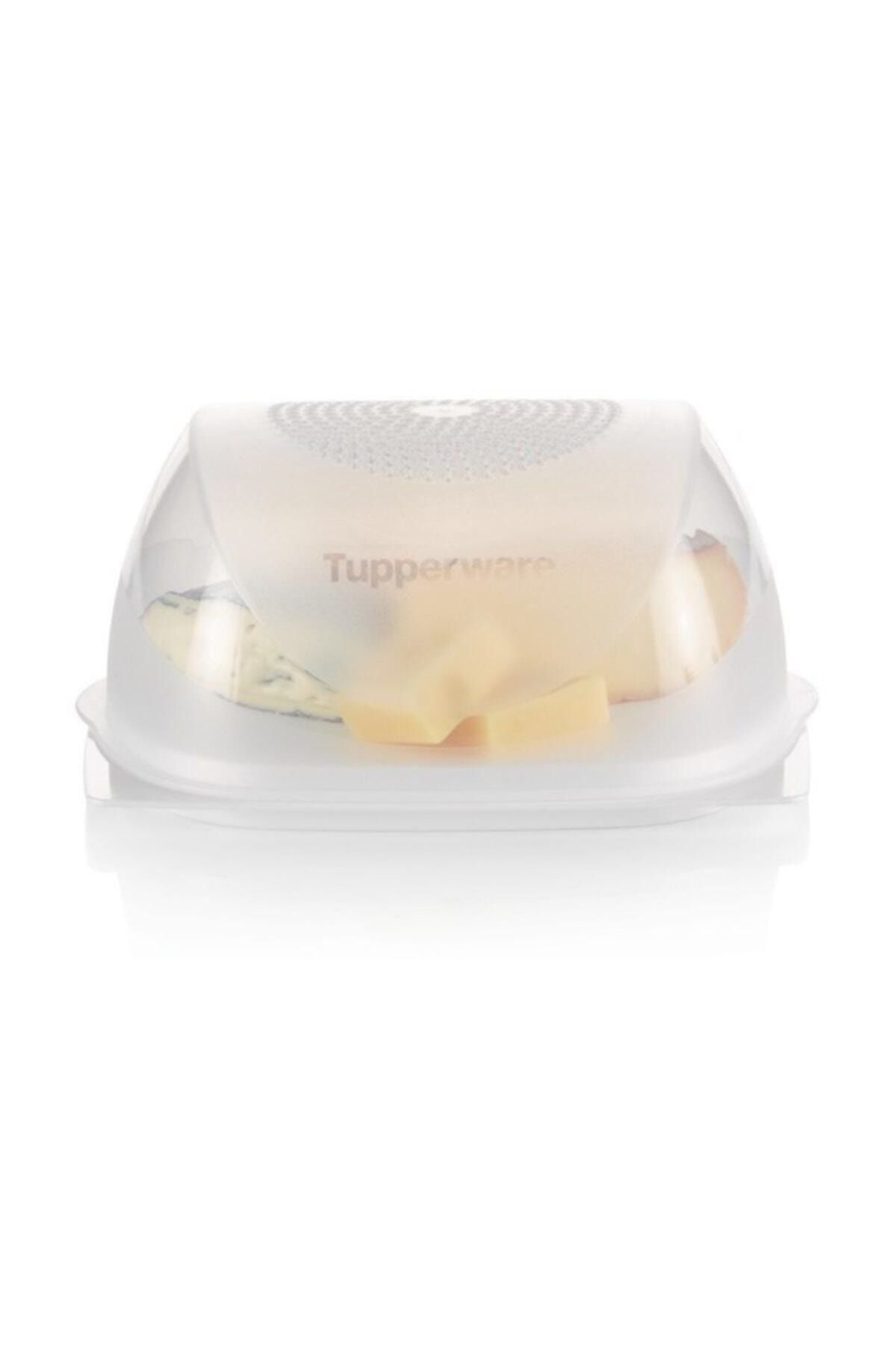 Tupperware Peynir Dünyası Orta Boy