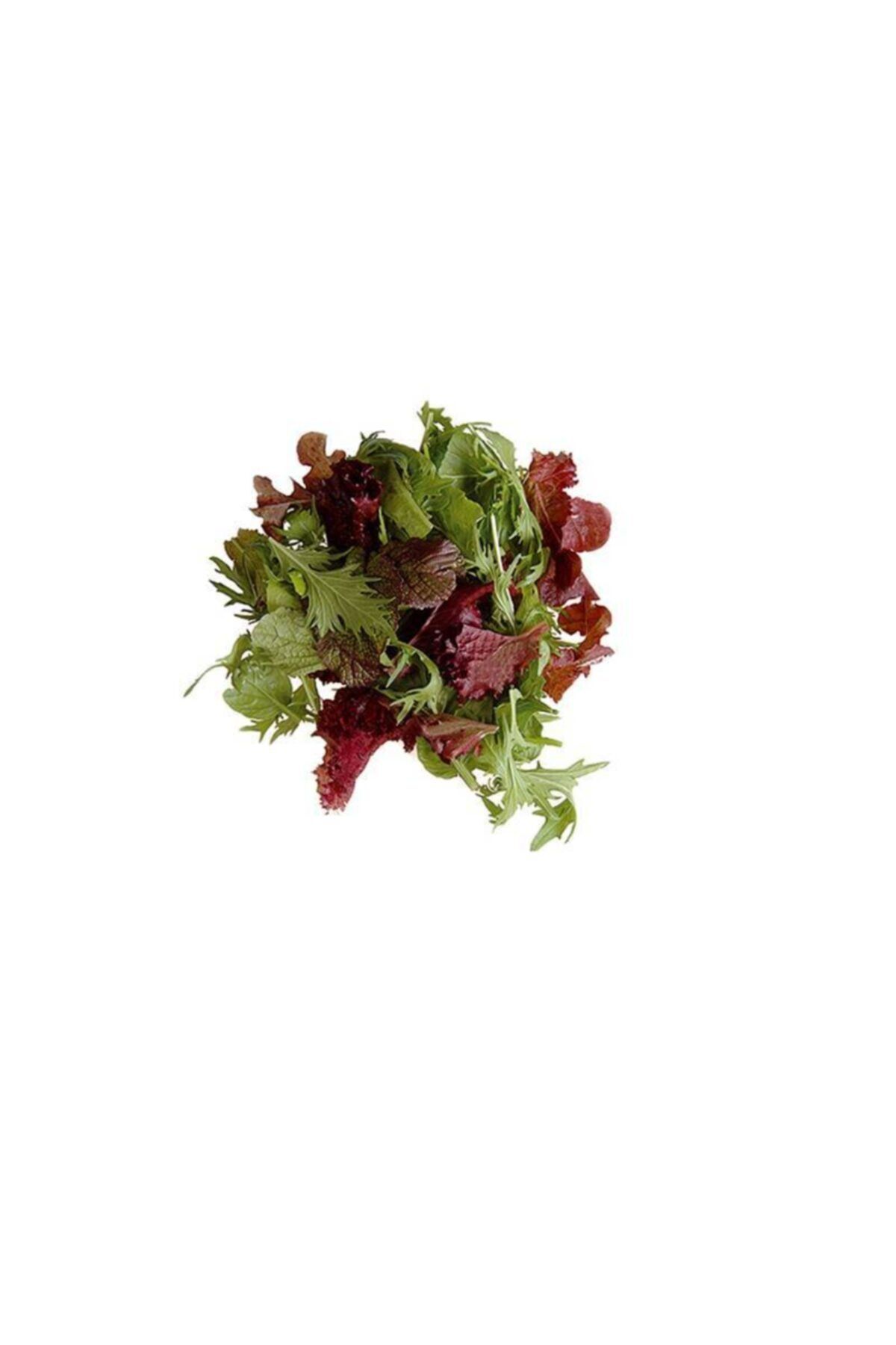Mutlu Sebzeler Maskolin Mesclun Salatası 150gr'lık 1 Paket