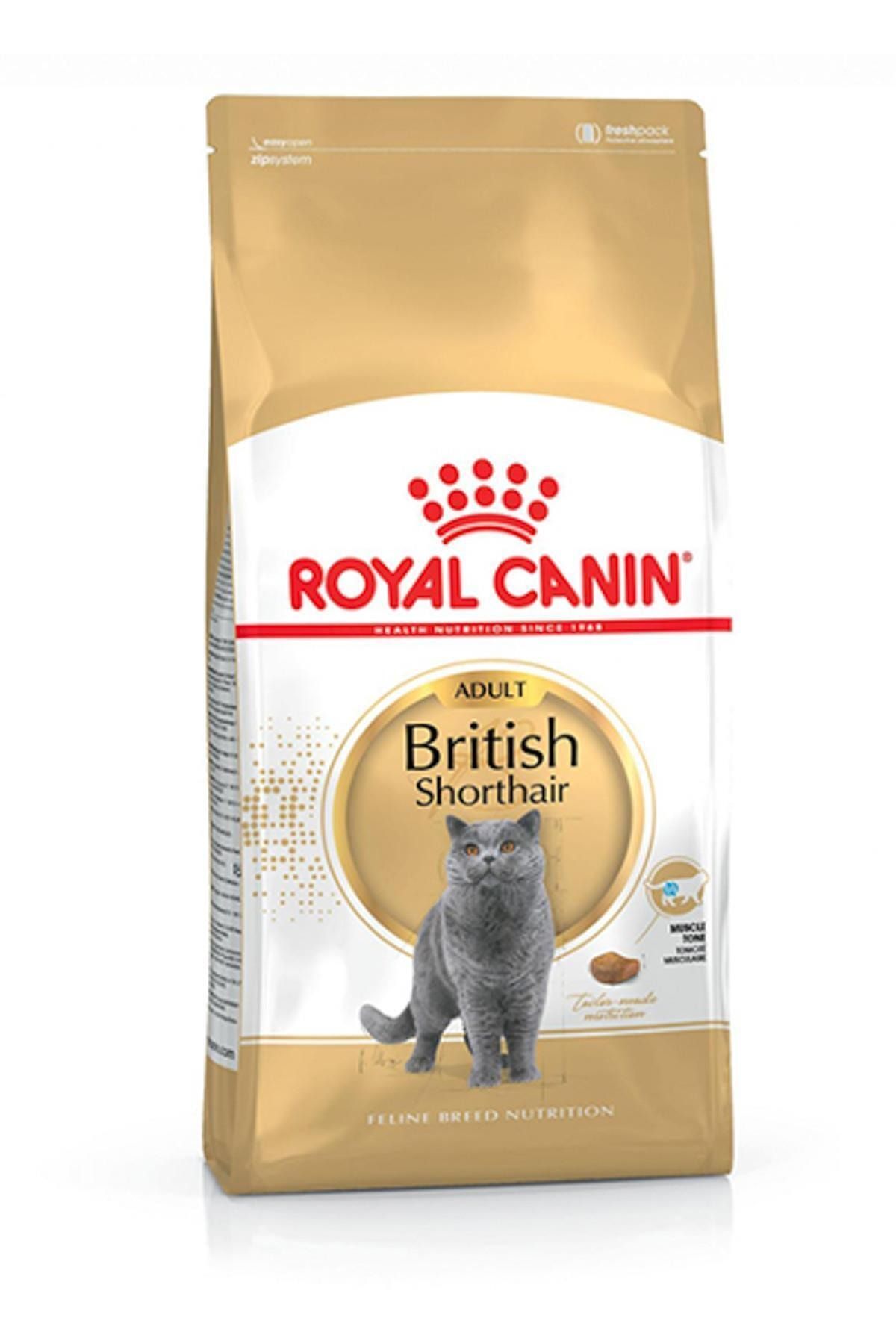 Royal Canin 255710000 British Shorthair Yetişkin Kedi Maması - 10 Kg