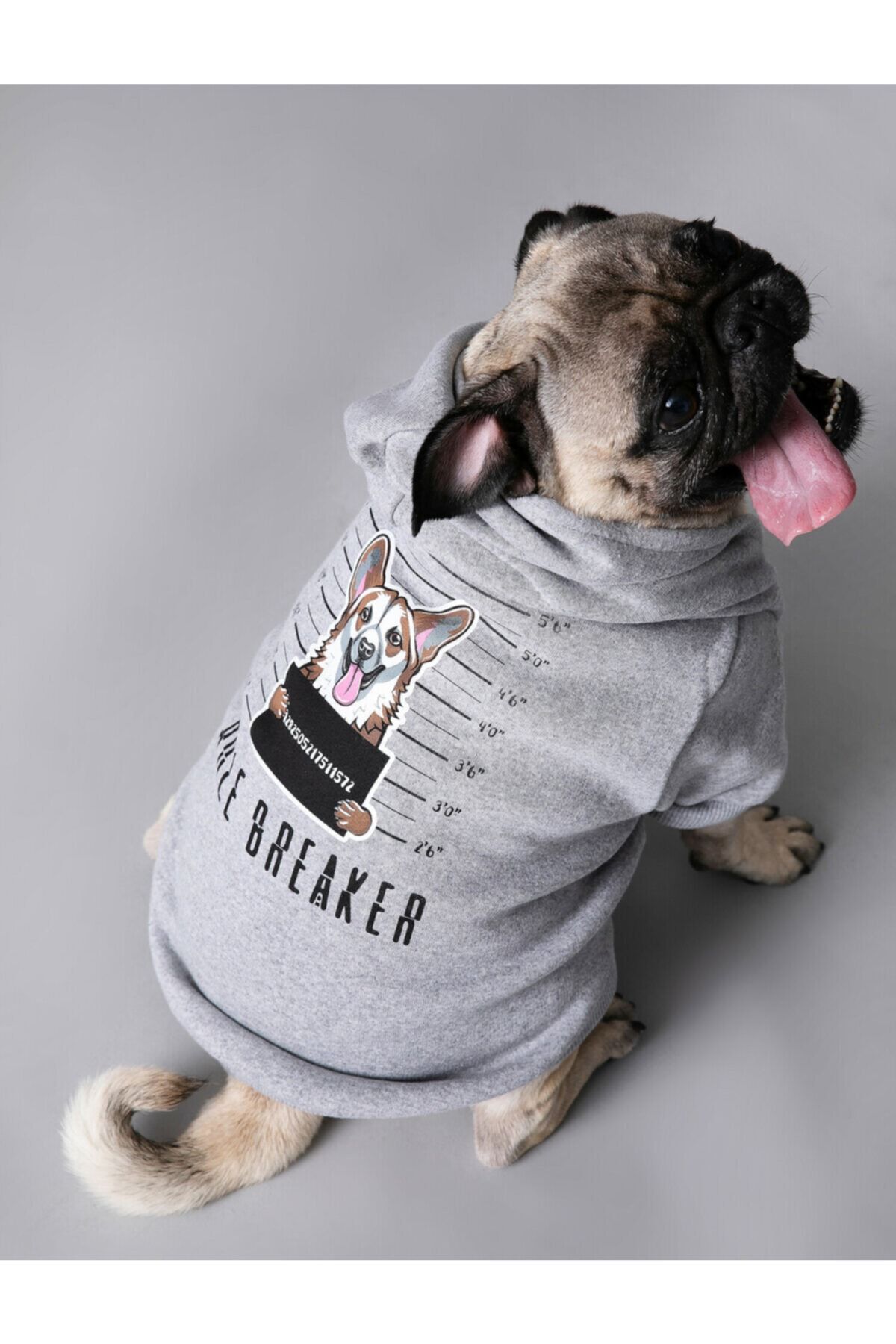Koton Kapüşonlu Baskılı Köpek Sweatshirt