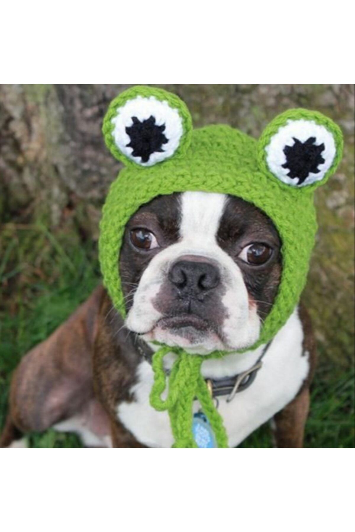 BurDen Dekoratif Ürünler & Tasarım Minik Kurbağa Köpek Şapkası & Köpek Kıyafeti , Pet Fashion, Tasarım Ürünler