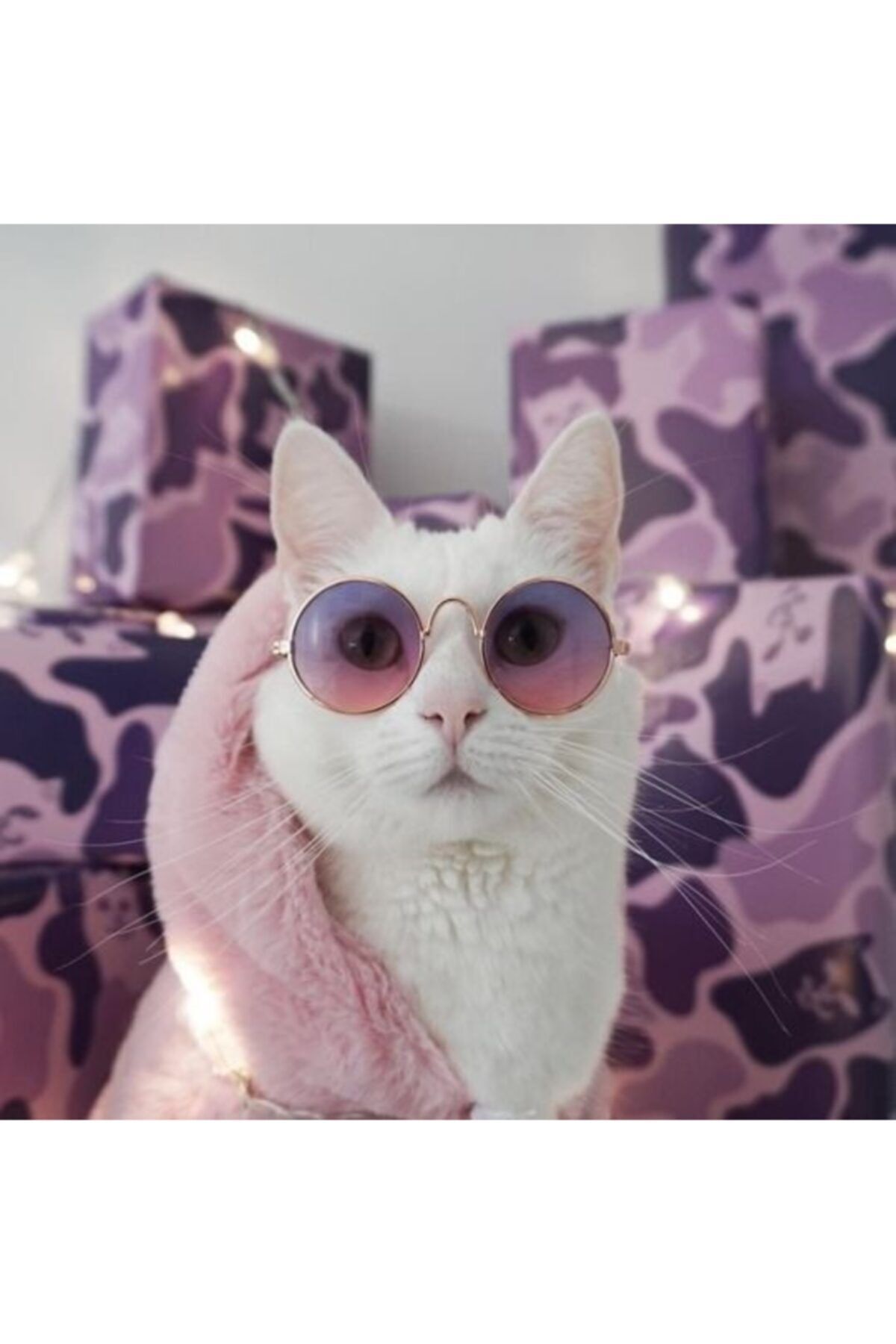 Lion Pet Kedi Köpek Gözlüğü Mini Irklara Özel Mor 8 Cm