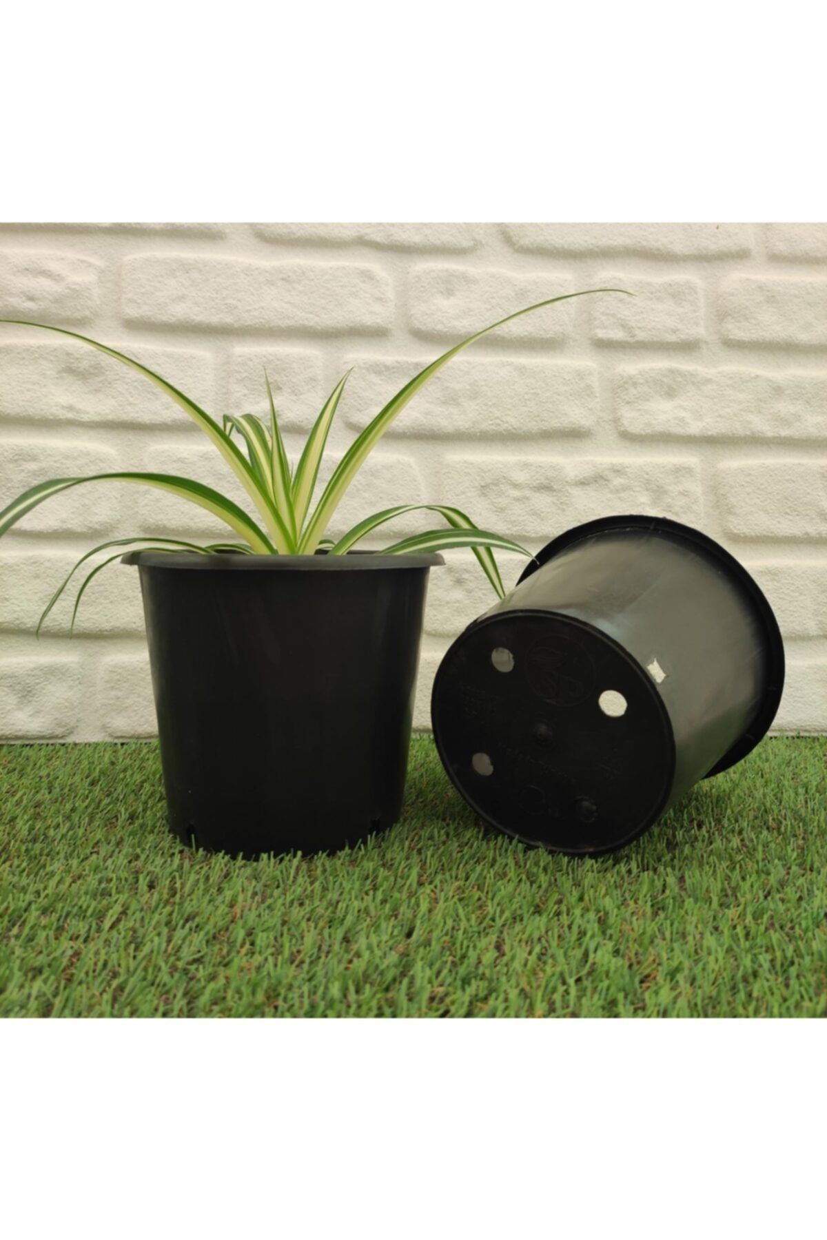 Asenya Üretim Saksısı 100 Adet 2,7 lt Siyah Üretim Saksısı Yuvarlak Saksı Plastik Bitki Üretim Saksısı