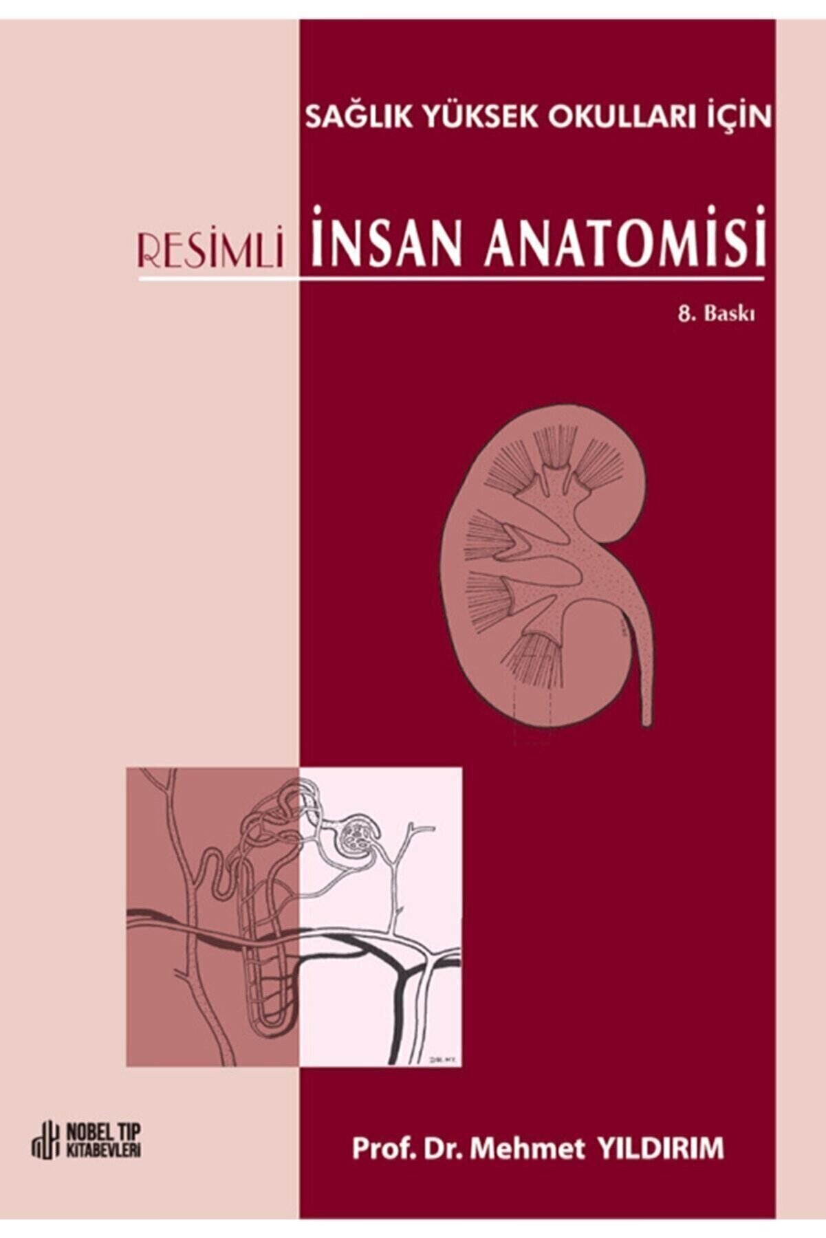 Nobel Tıp Kitabevi Resimli Insan Anatomisi: Sağlık Yüksek Okulları Için 8. Baskı
