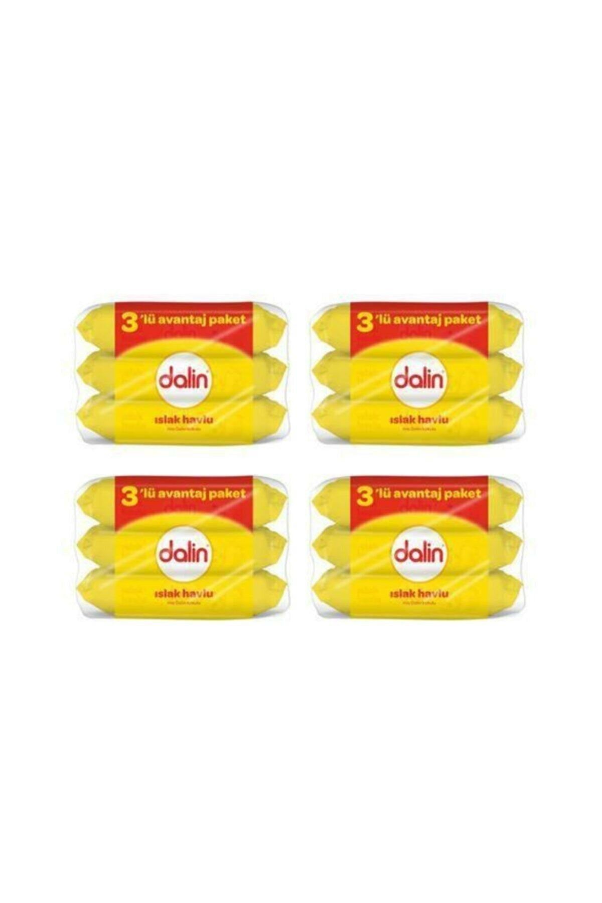 Dalin Islak Havlu Klasik 12'li Set 3lü*4pk 672 Yaprak