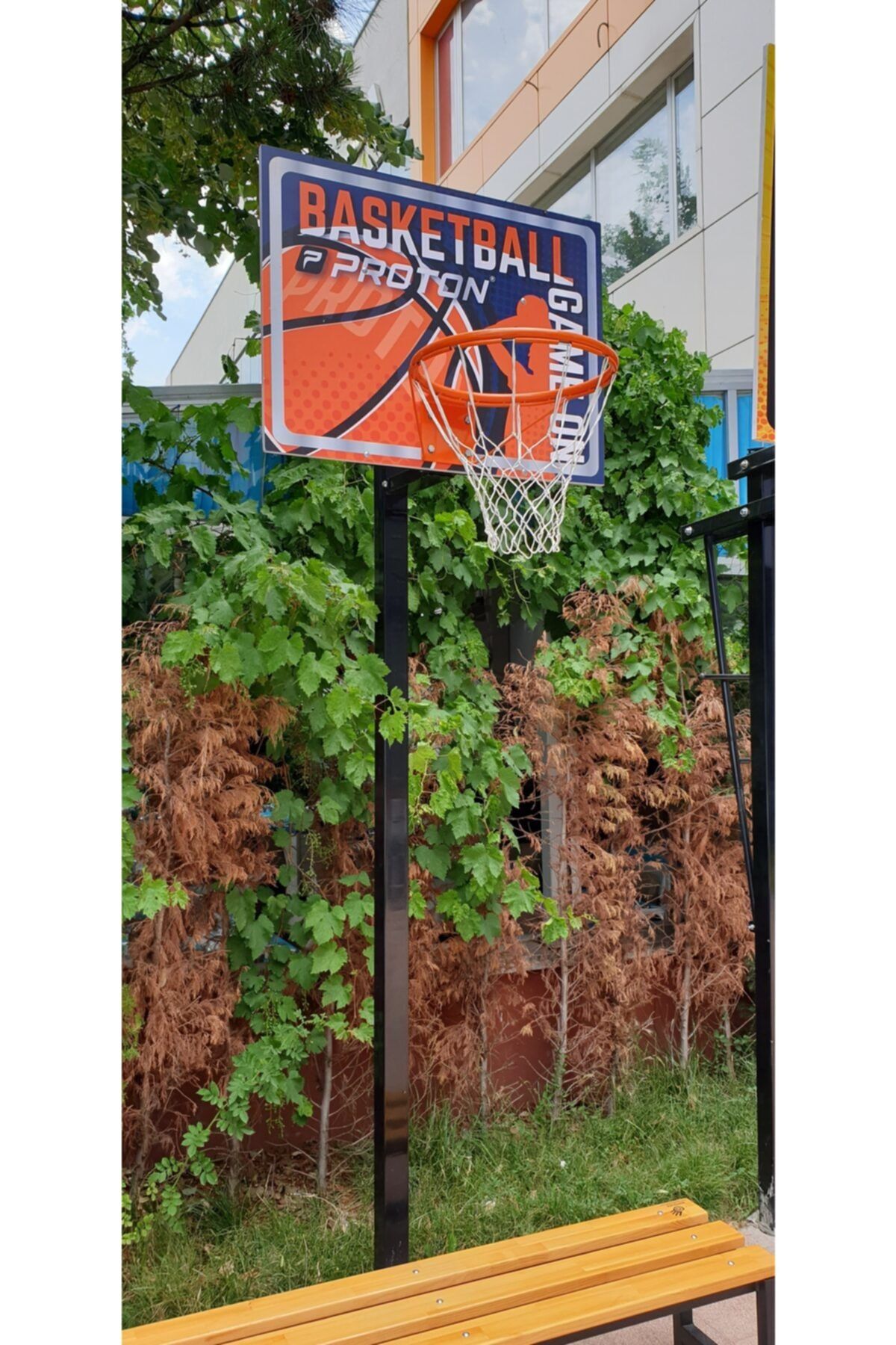 whiteface Tek Direkli Sabit Basketbol Potası Basic Model Sabit Çember Dijital Panya