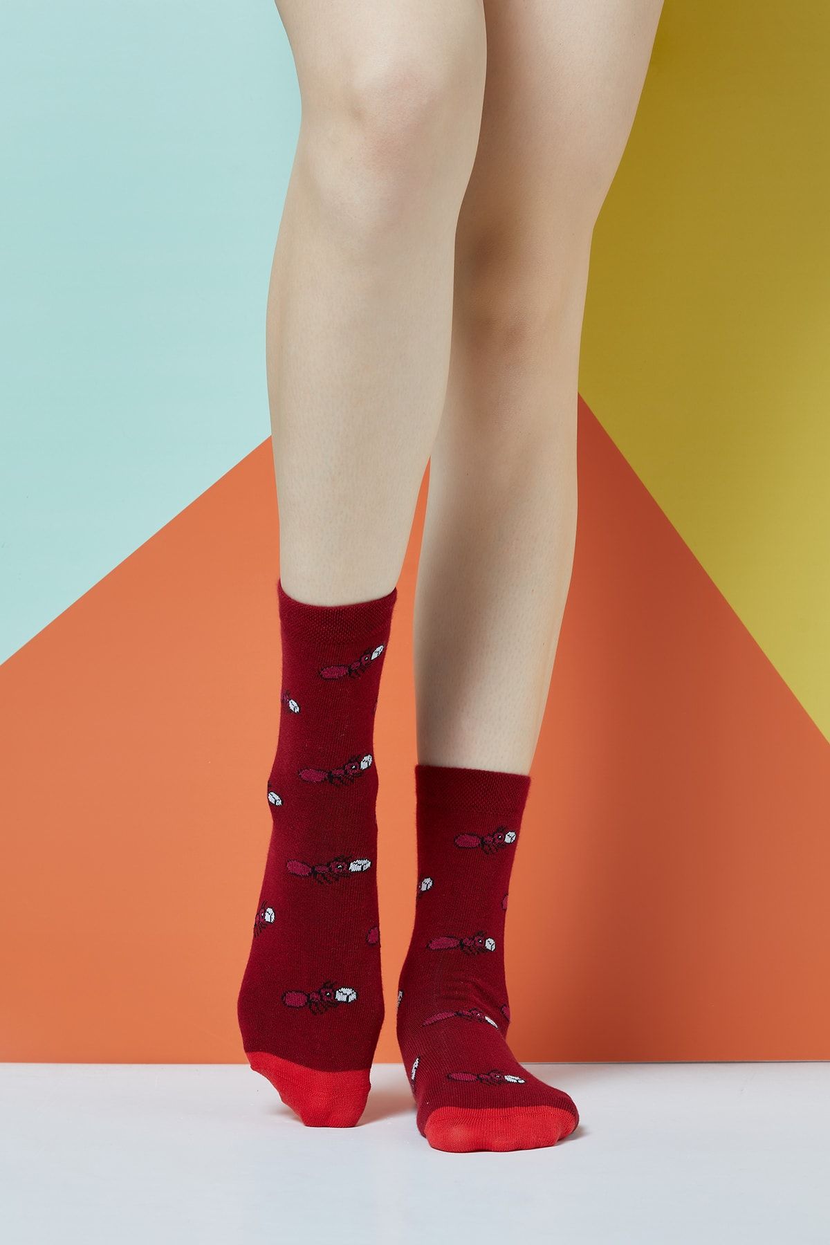 The Socks Company Kadın Çok Renkli Hard Working Desenli Çorap