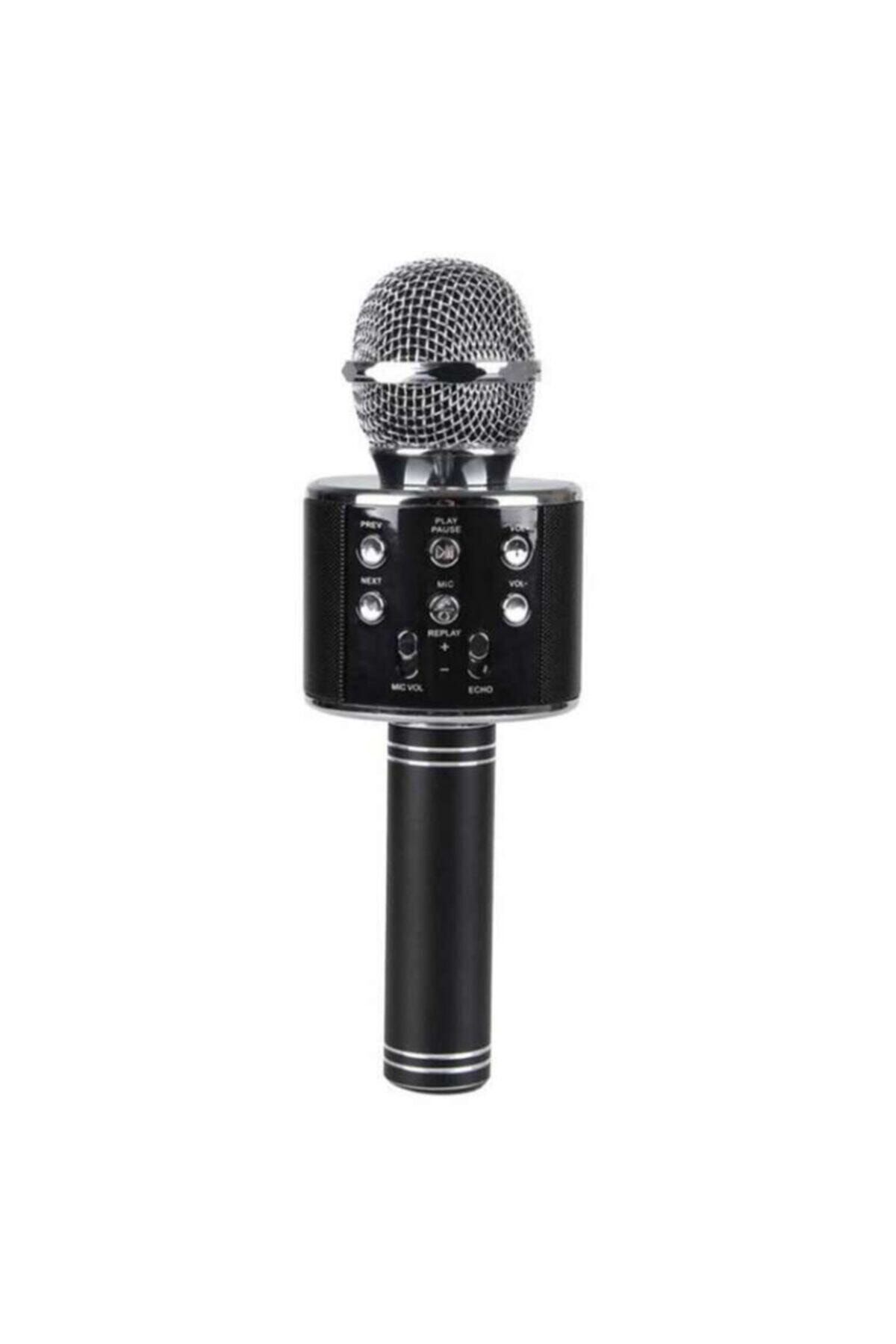 HandHeld Siyah Karaoke Mikrofon
