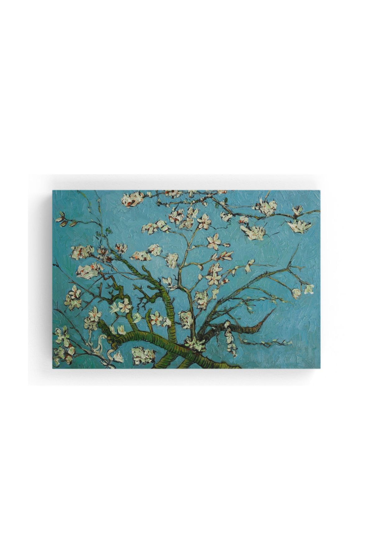 Tablo365 Van Gogh Çiçek Açan Badem Ağacı Kanvas Tablo 45 X 30 Cm Tb-9696K