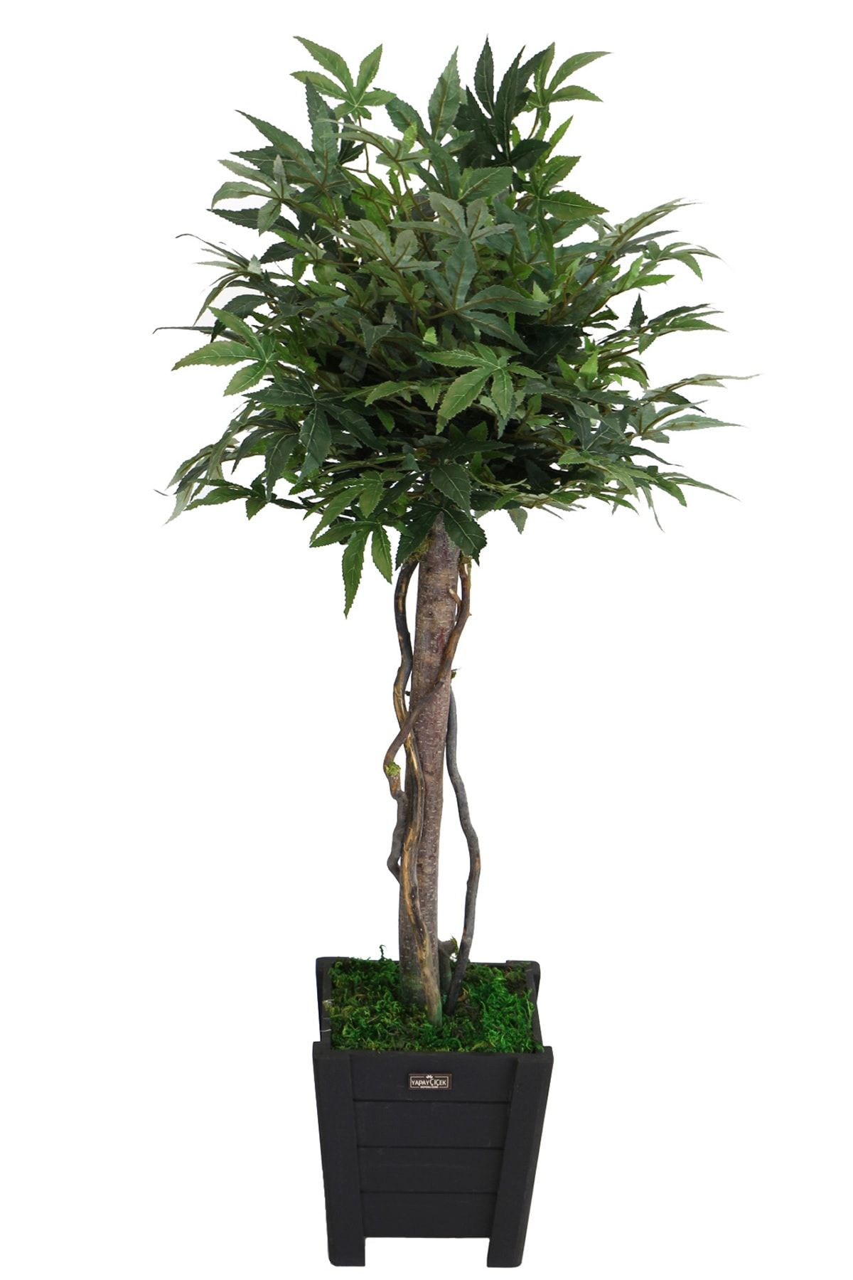 Yapay Çiçek Deposu Yapay Bodur Çınar Ağacı 110 cm Yeşil
