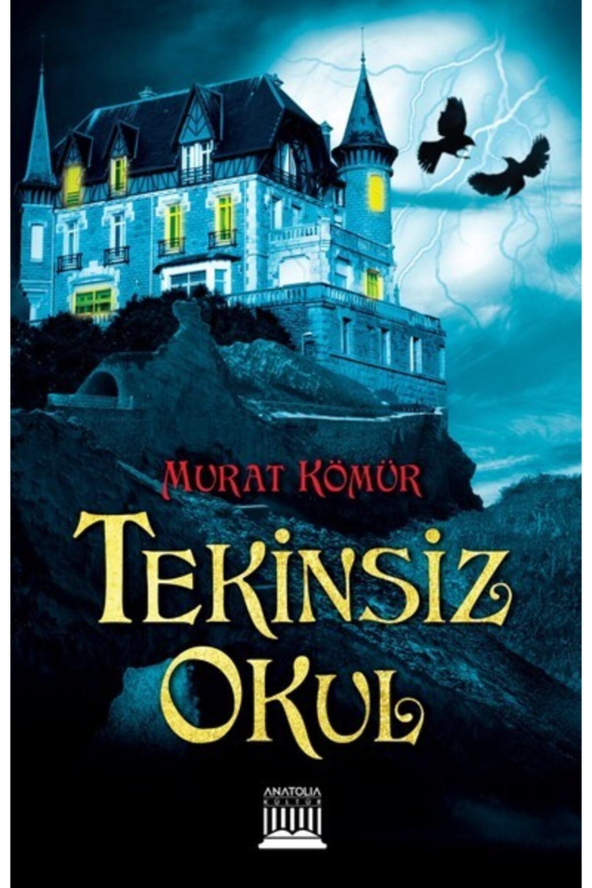Anatolia Kitap Tekinsiz Okul - Murat Kömür