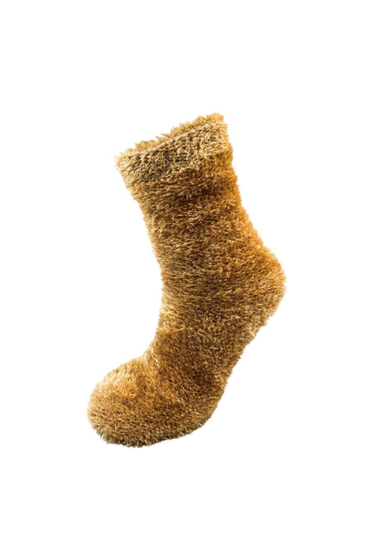 pazariz Pazarız Rengarenk Çoraplar Soket Çorap Gökkuşağı Paketi