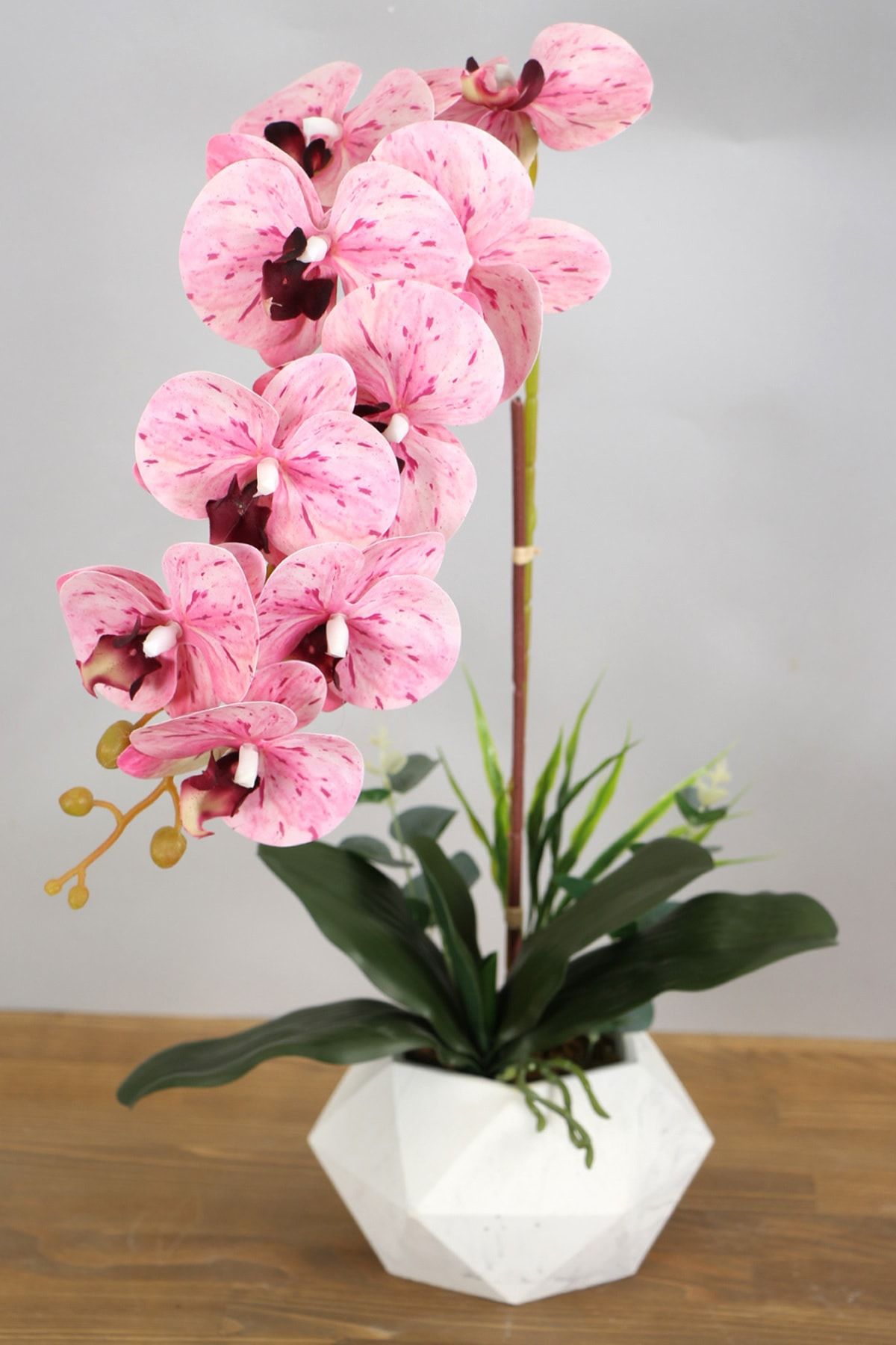 Yapay Çiçek Deposu Beton Saksıda Yapay Baskılı Islak Orkide 55 Cm Pembe Benekli