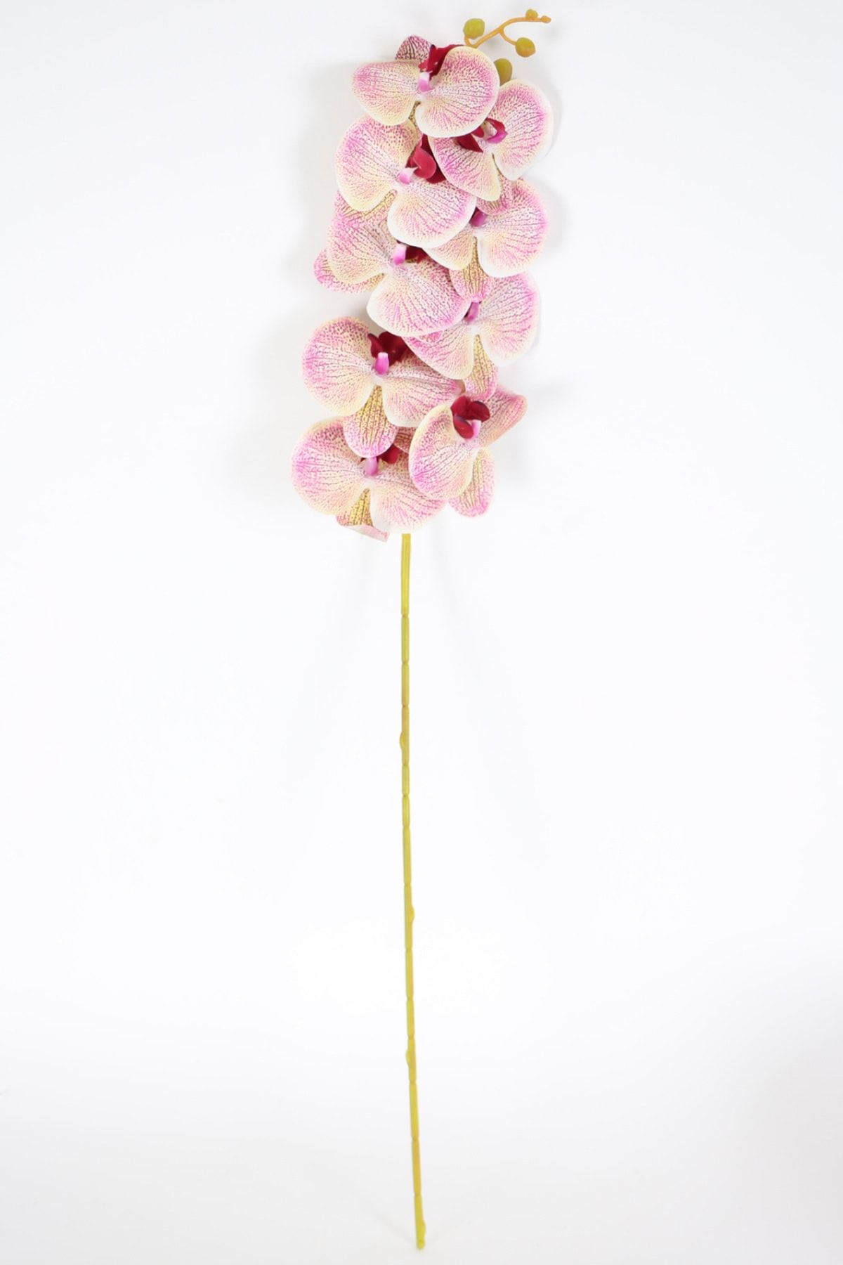 Yapay Çiçek Deposu Yapay Dal Baskılı Orkide Çiçeği 88 Cm Fuşya Krem