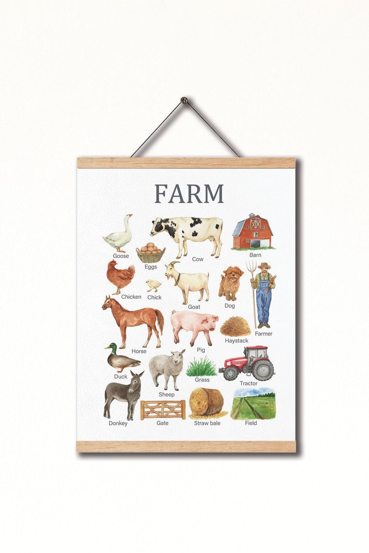 Dekor Loft Montessori İngilizce Eğitici Poster Çiftlik Hayvanları