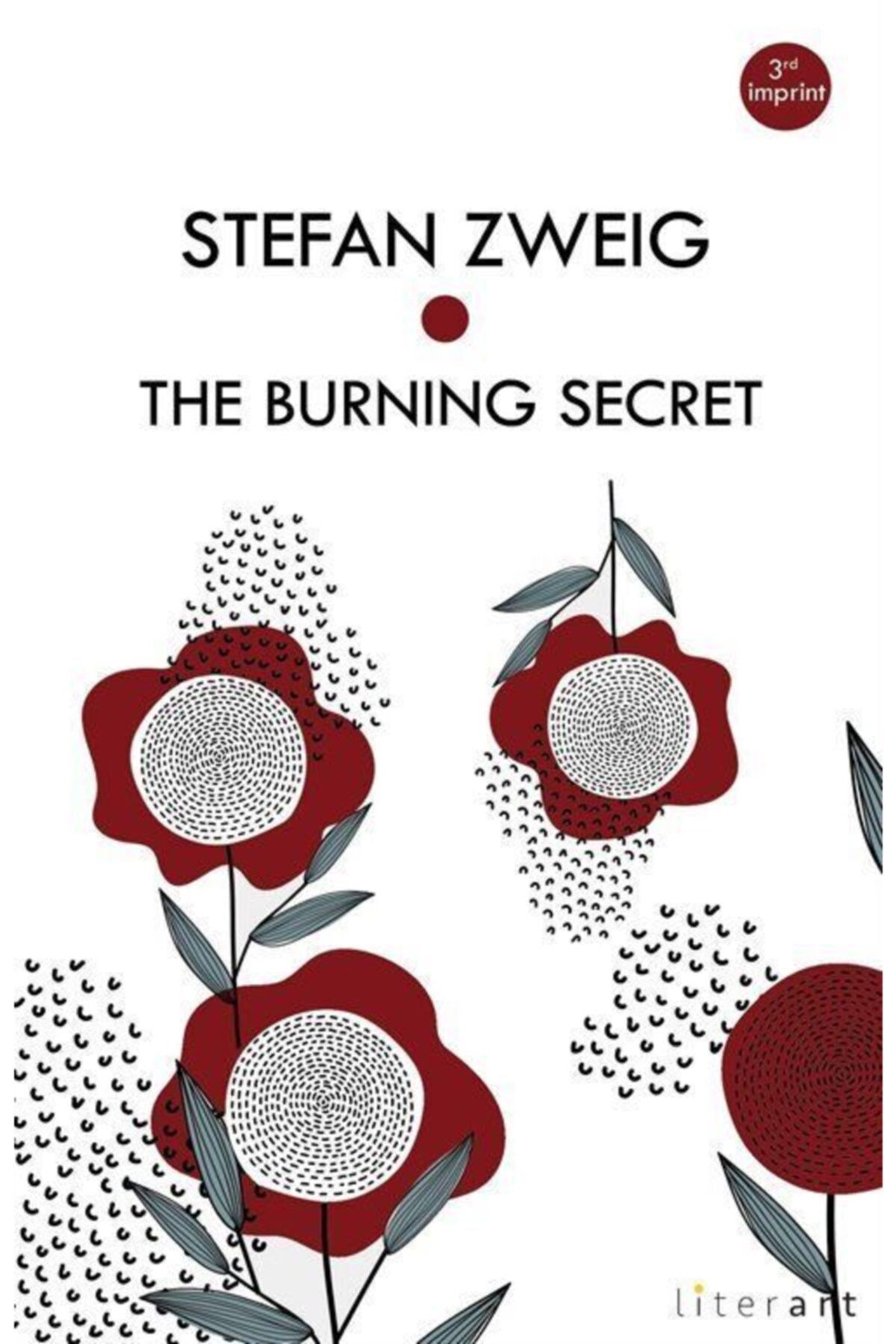 Literart Yayınları The Burning Secret