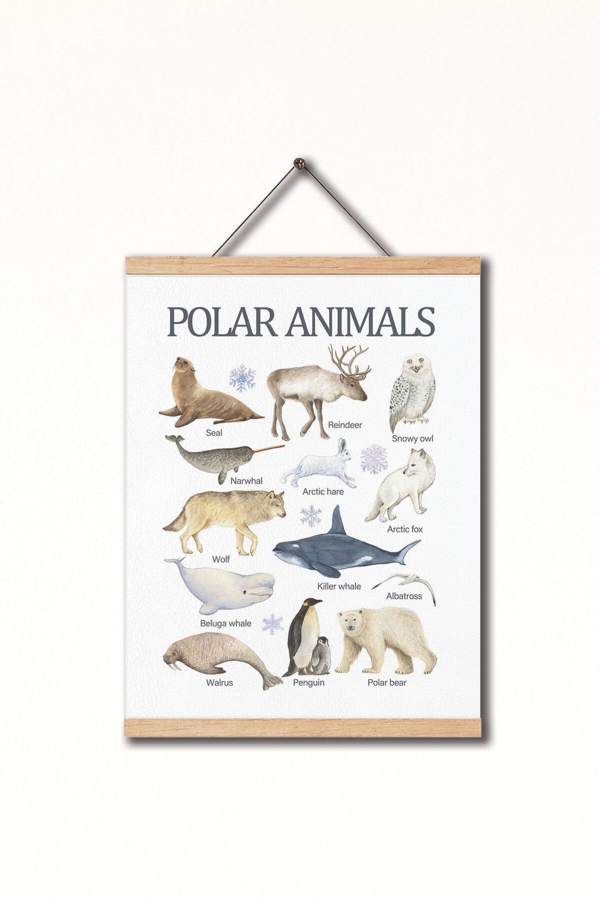 Dekor Loft Montessori Ingilizce Eğitici Poster Kutup Hayvanları