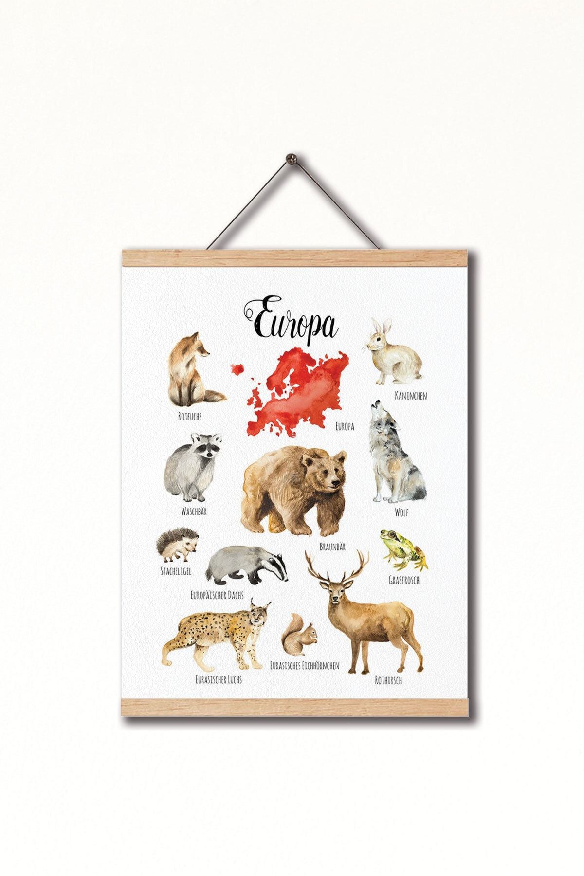 Dekor Loft Montessori Almanca Eğitici Avrupa Kıtası Hayvanları Pu Deri Çocuk Odası Duvar Posteri