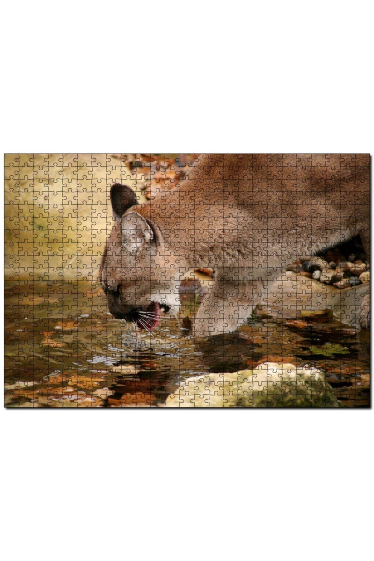Cakapuzzle Ormandaki Puma Derede Su Içerken Görseli 500 Parça Puzzle Yapboz Mdf