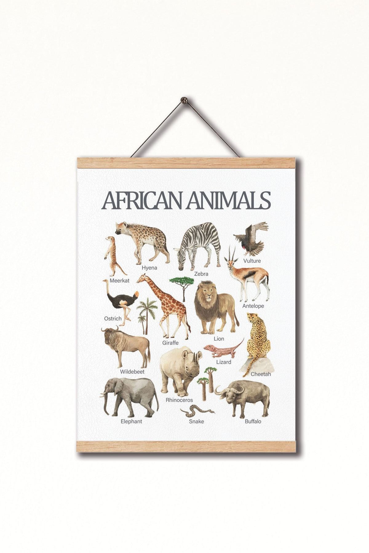 Dekor Loft Montessori Ingilizce Eğitici Poster Afrika Kıtası Hayvanları
