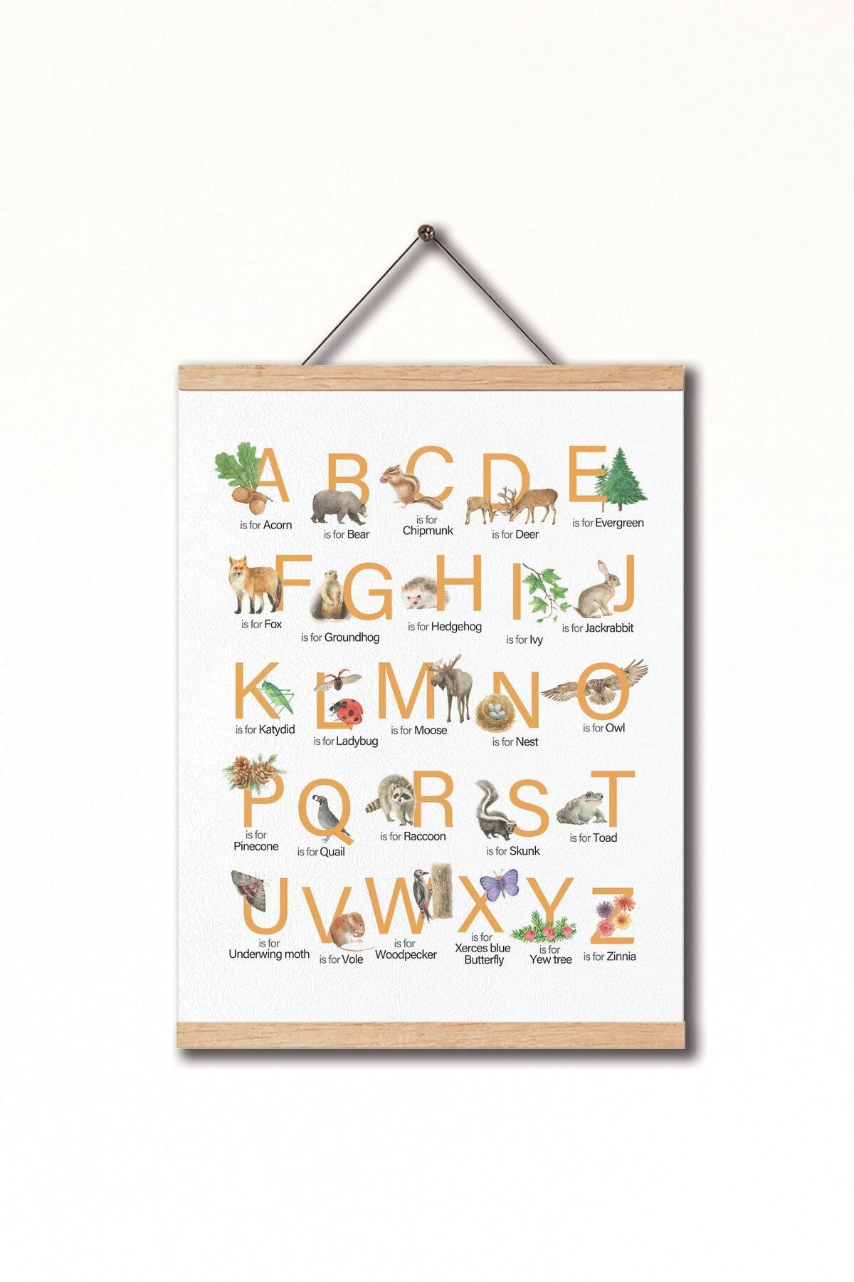 Dekor Loft Montessori Ingilizce Eğitici Poster Doğa Alfabesi
