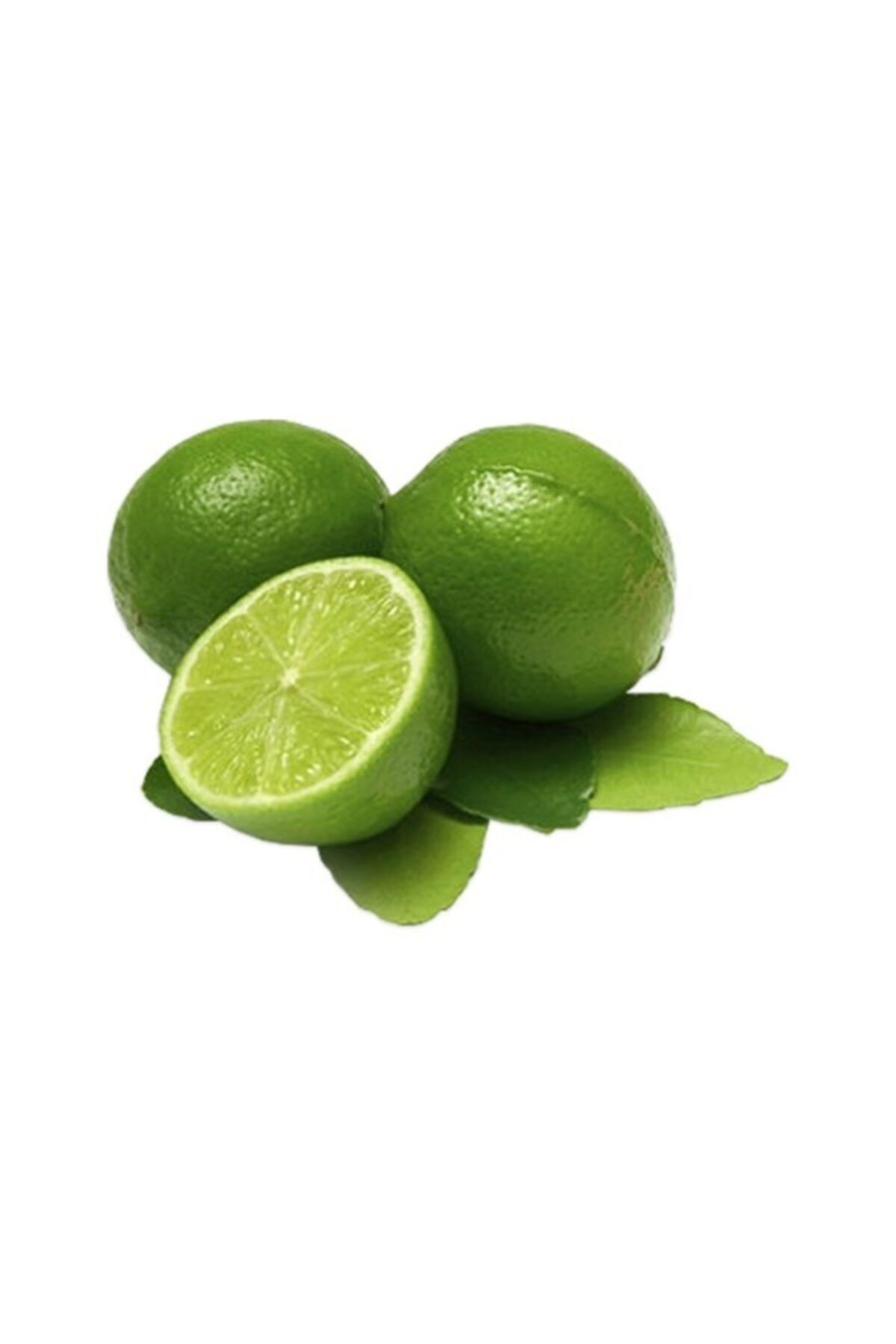 Sebze Meyve Dünyası Lime Misket Limon 500 gr