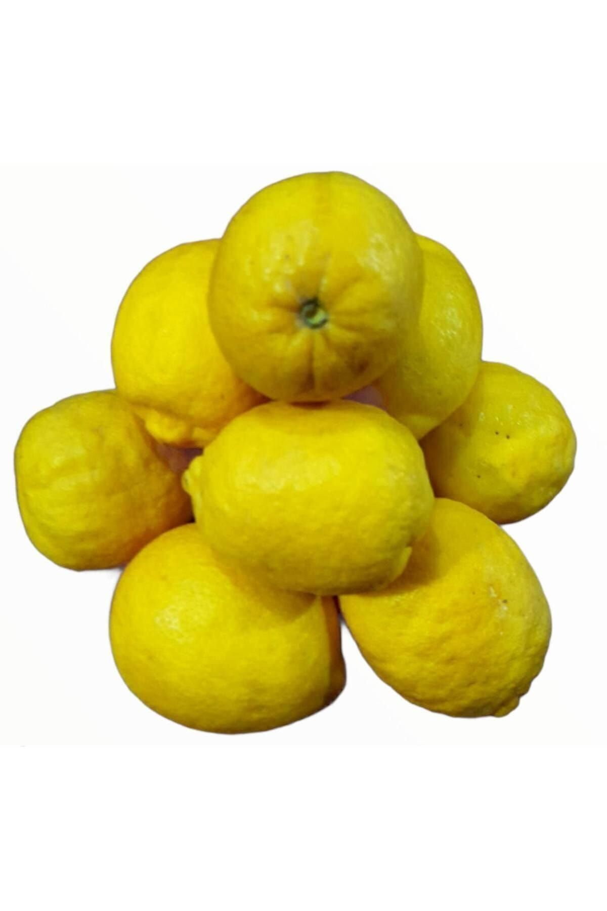 Alanya Özlem Limon Taptaze Bol Sulu ( En Az 5kg)