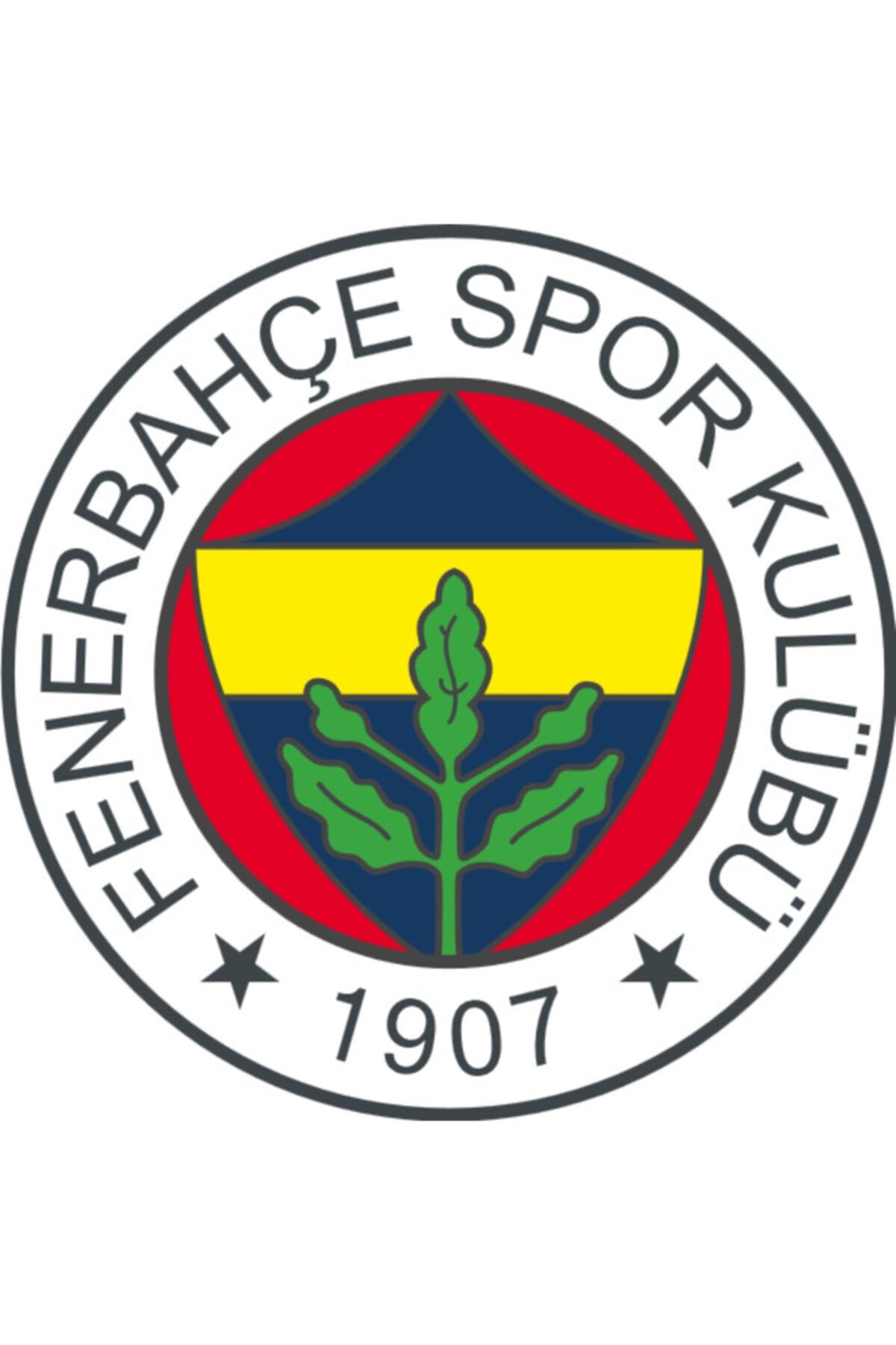 Fenerbahçe Fenerbahçe Pinyata Ve Sopası