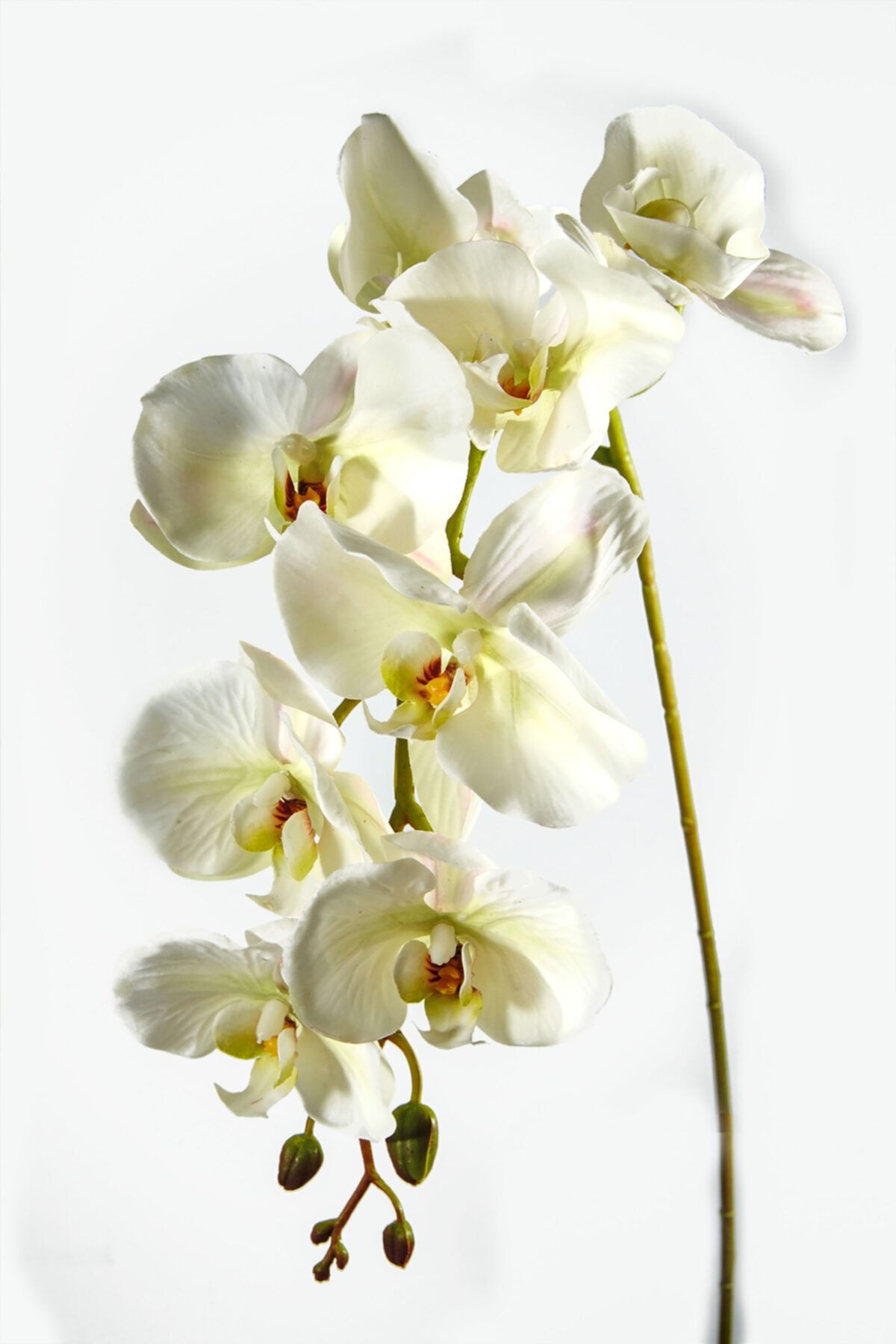 Lilac Home Yapay Çiçek Gerçek Dokulu Lux Beyaz Orkide Dalı