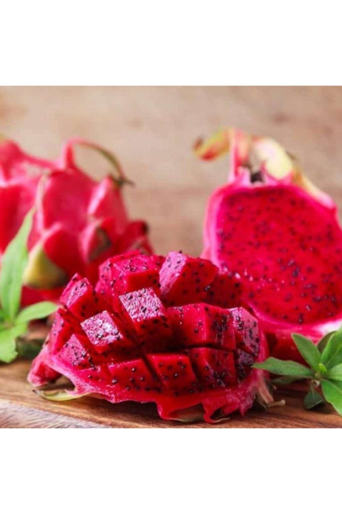 Bitki Dizayn Tüplü Kırmızı Pitaya Ejder Meyvesi Fidanı (20-30 Cm)