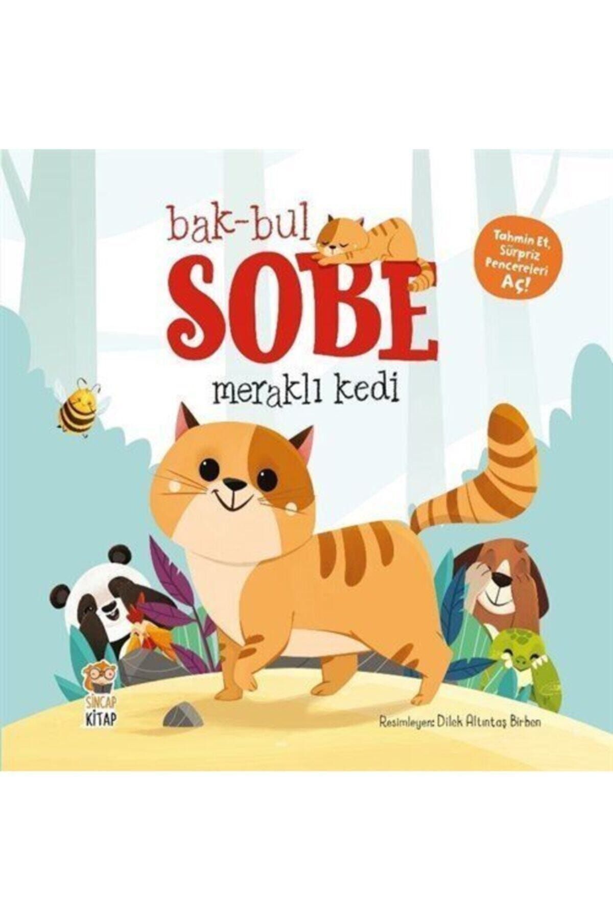 Sincap Kitap Bak-bul Sobe / Meraklı Kedi