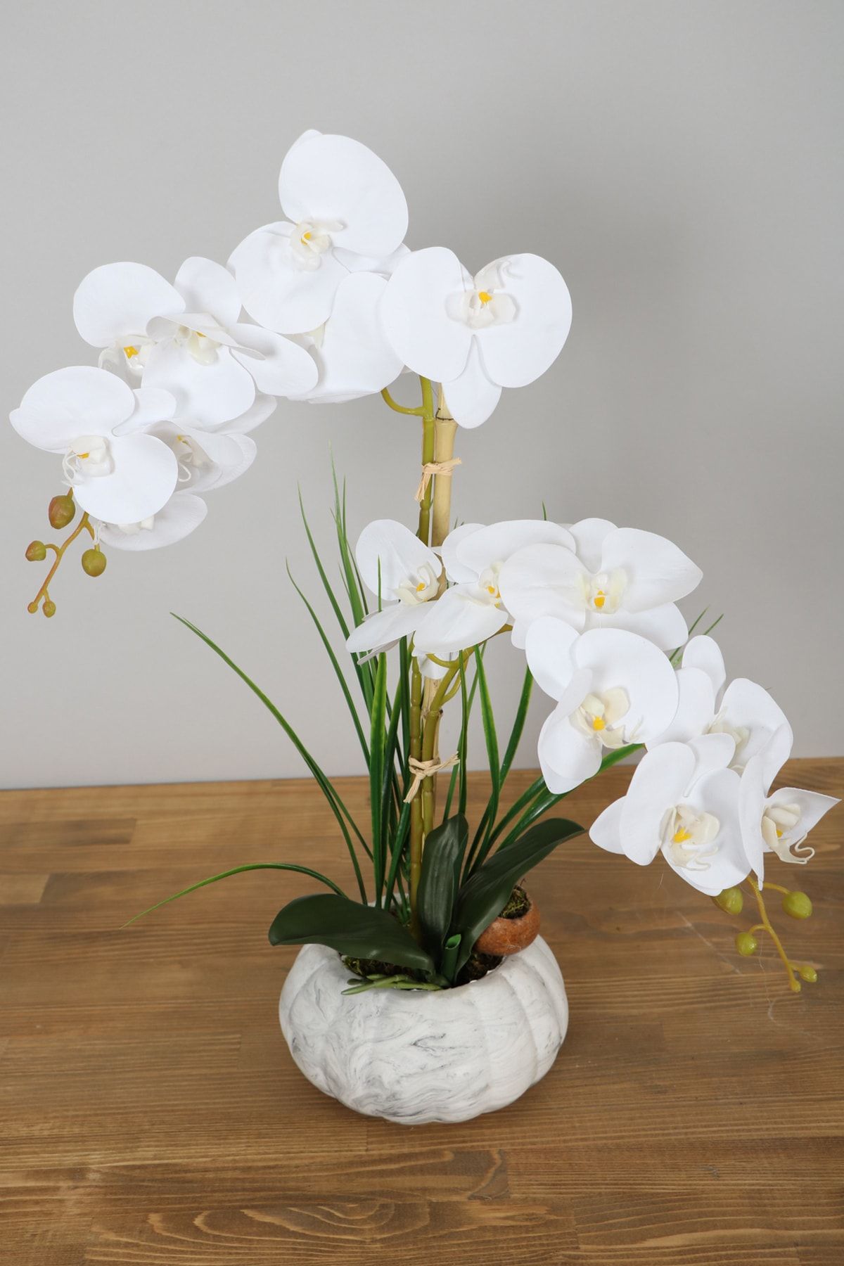 Yapay Çiçek Deposu Beton Kabak Saksıda 2li Islak Orkide Tanzimi Beyaz