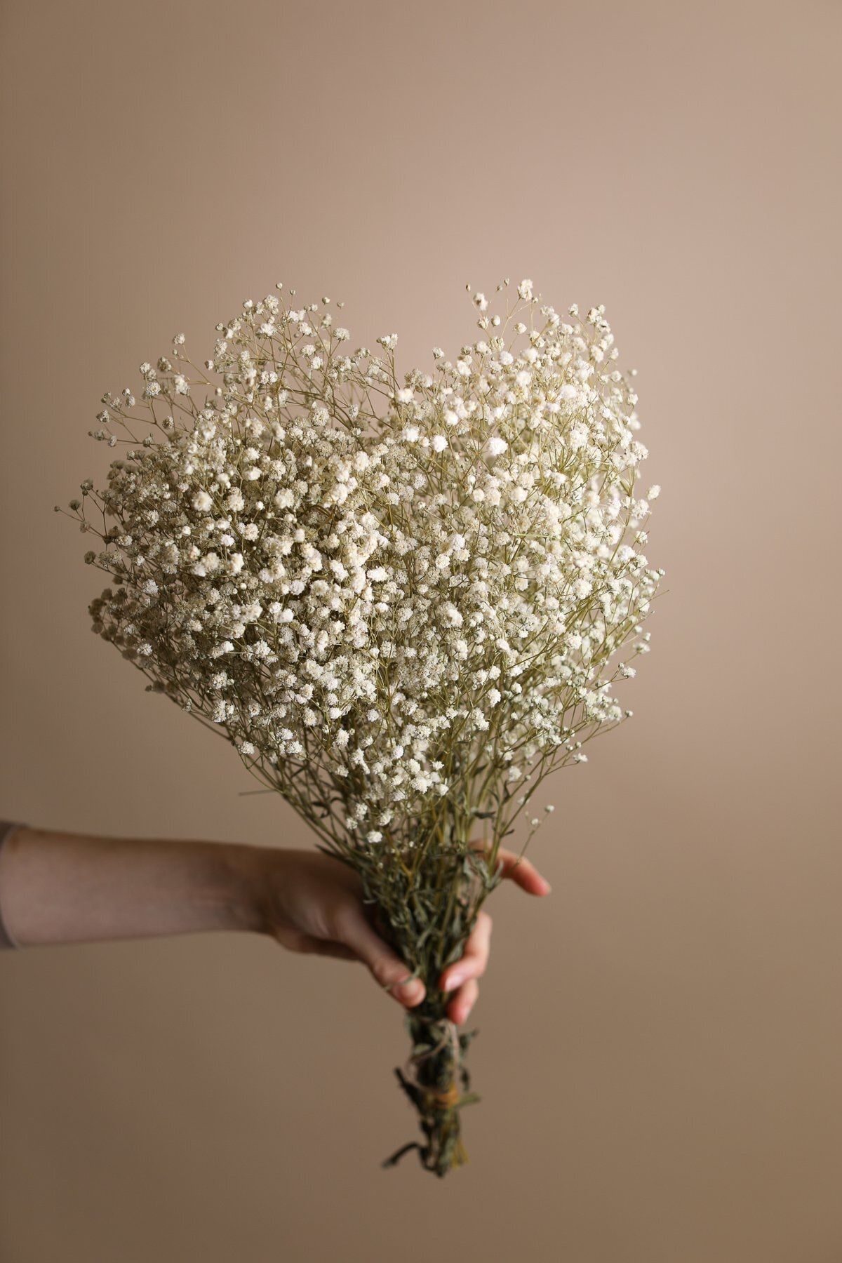 Çiçek Kuru Şoklanmış Cipso - Beyaz Bahar Yıldızı