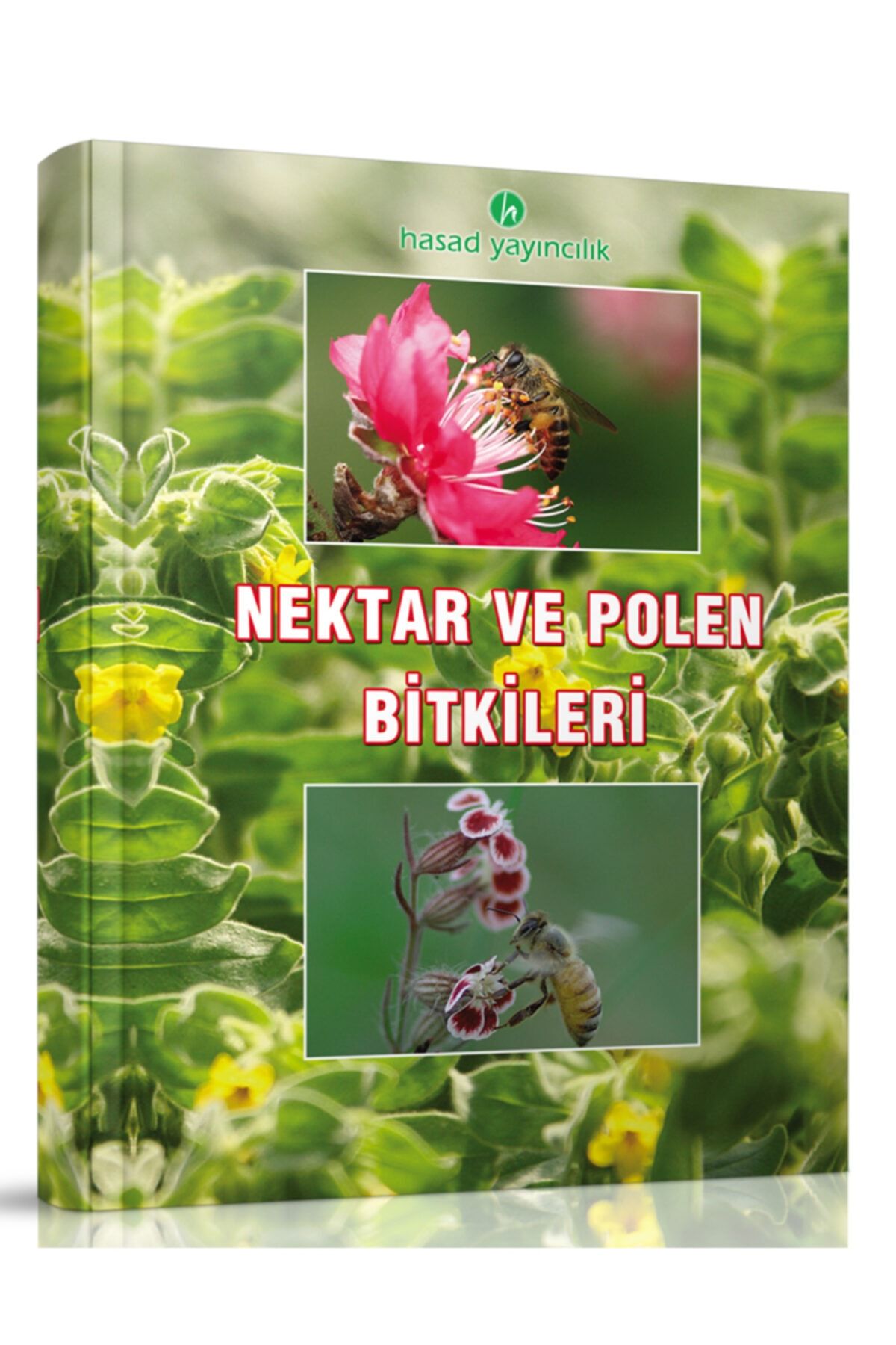 Hasad Yayıncılık Nektar Ve Polen Bitkileri - Kayhan Karaca 9789758377633