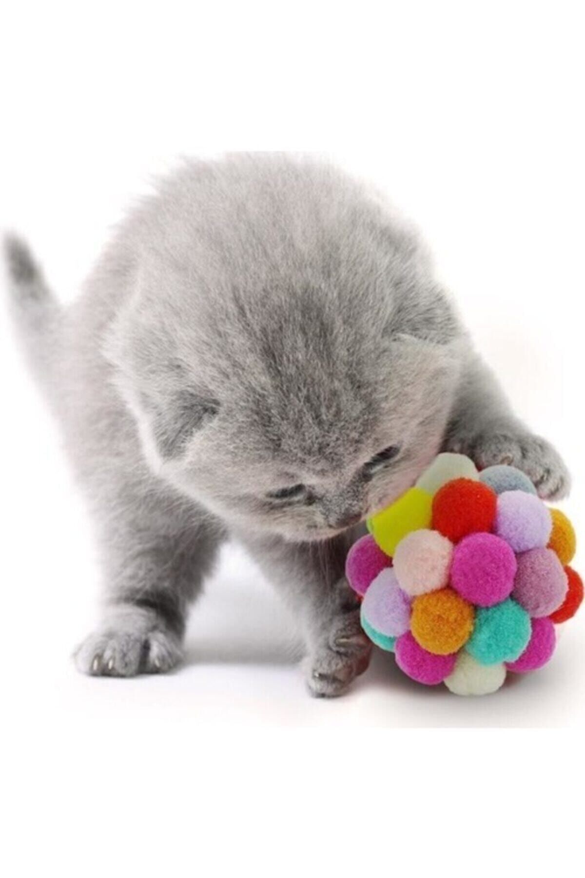 Nunbell Renkli Ponpon Top Kedi Oyuncağı 7 Cm