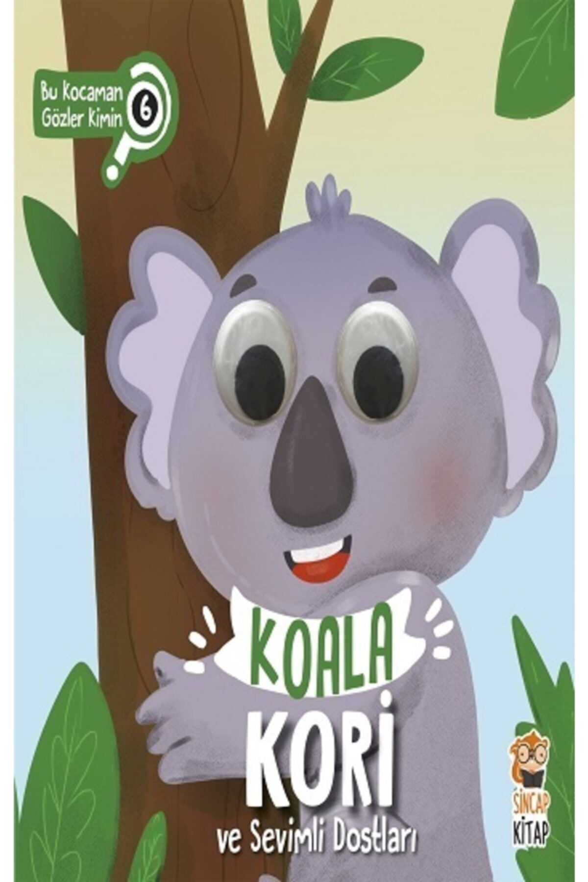 Sincap Kitap Koala Kori Ve Sevimli Dostları Ciltli Asiye Aslı Aslaner