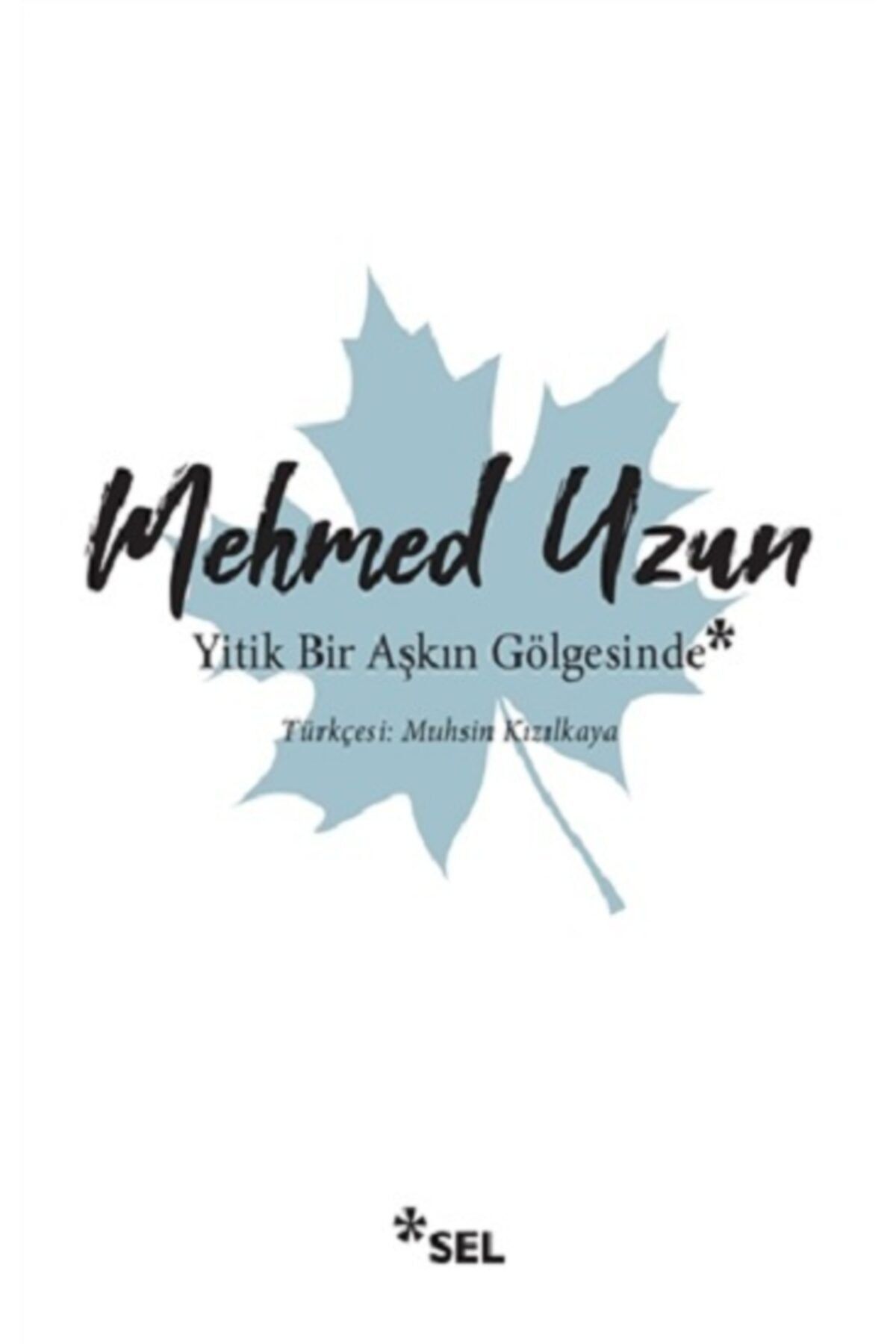 Genel Markalar Yitik Bir Aşkın Gölgesinde - Mehmed Uzun