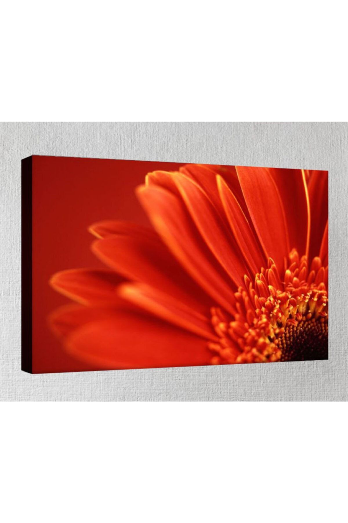 Lukas Kanvas Tablo - 50x70 Cm - Çiçek Resimleri - C154